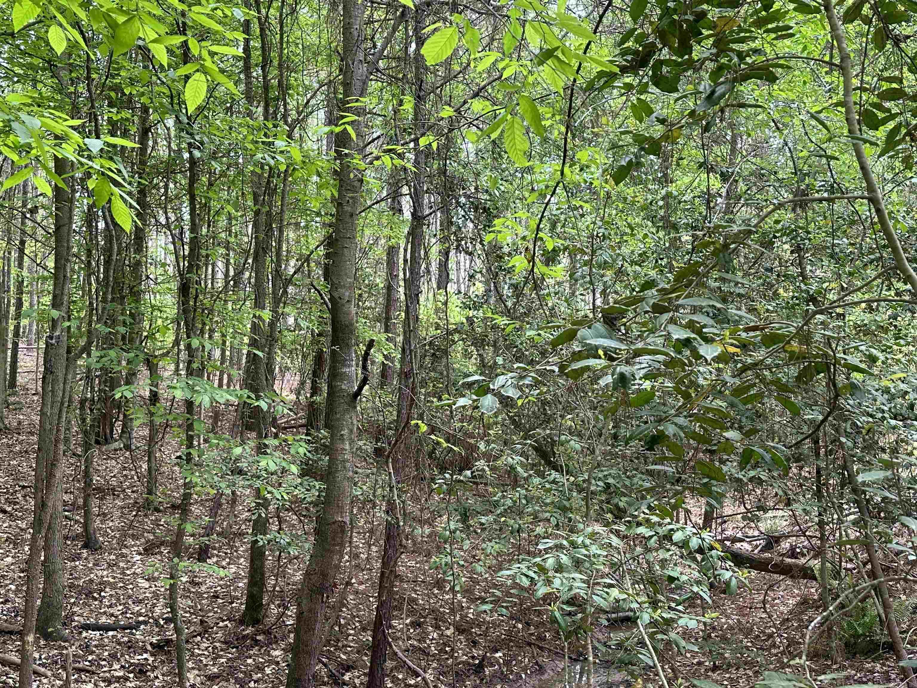 Lot 6  AR Hwy 7  Camden, AR