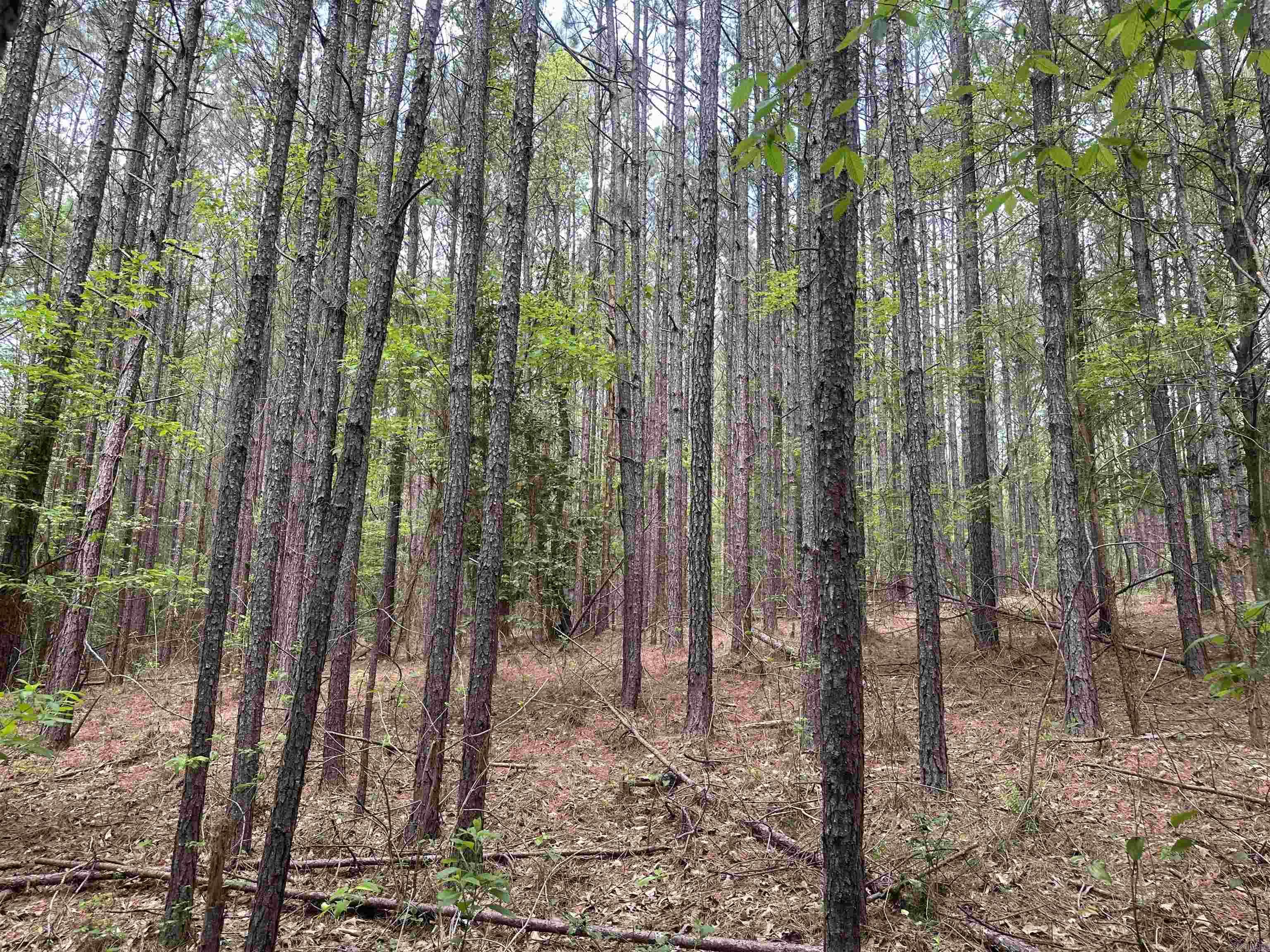 Lot 6  AR Hwy 7  Camden, AR