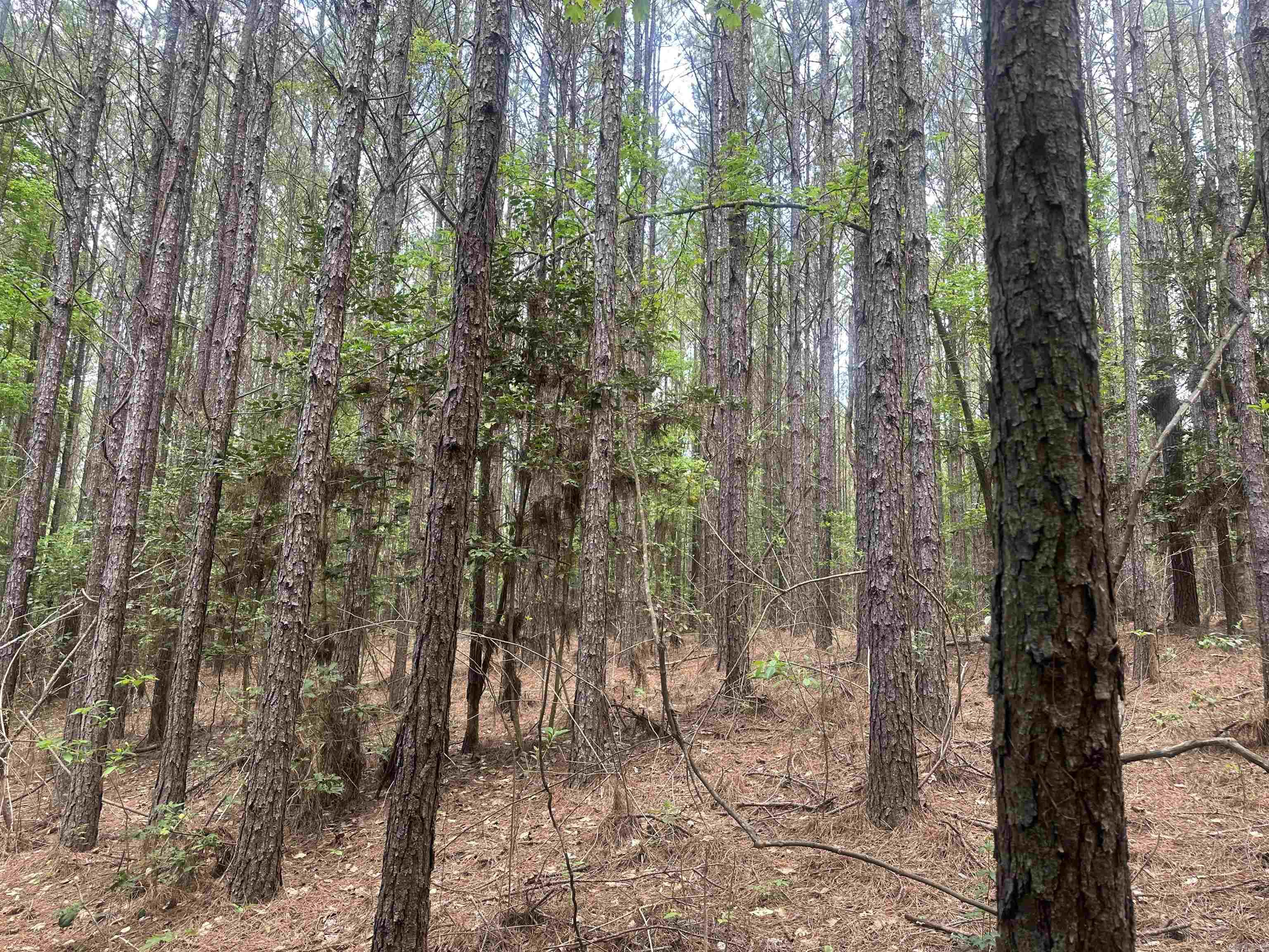 Lot 7  AR Hwy 7  Camden, AR