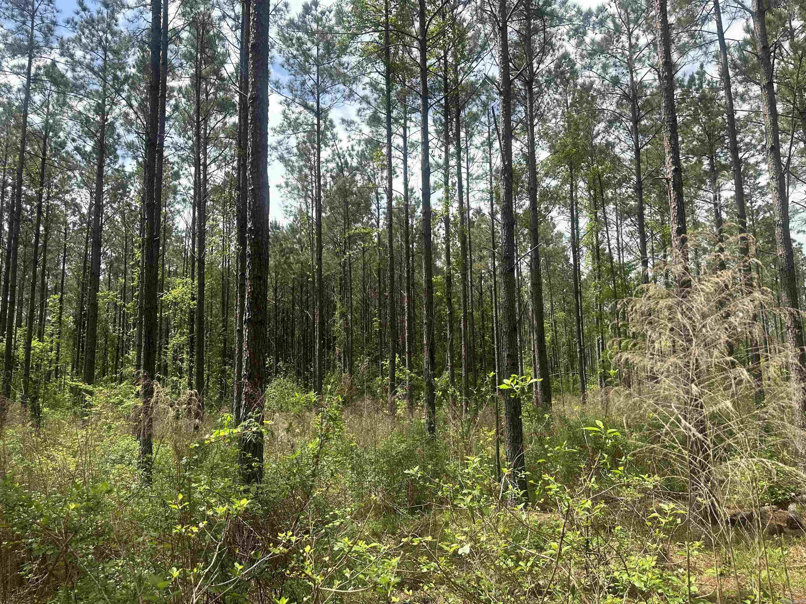 Lot 7  AR Hwy 7  Camden, AR