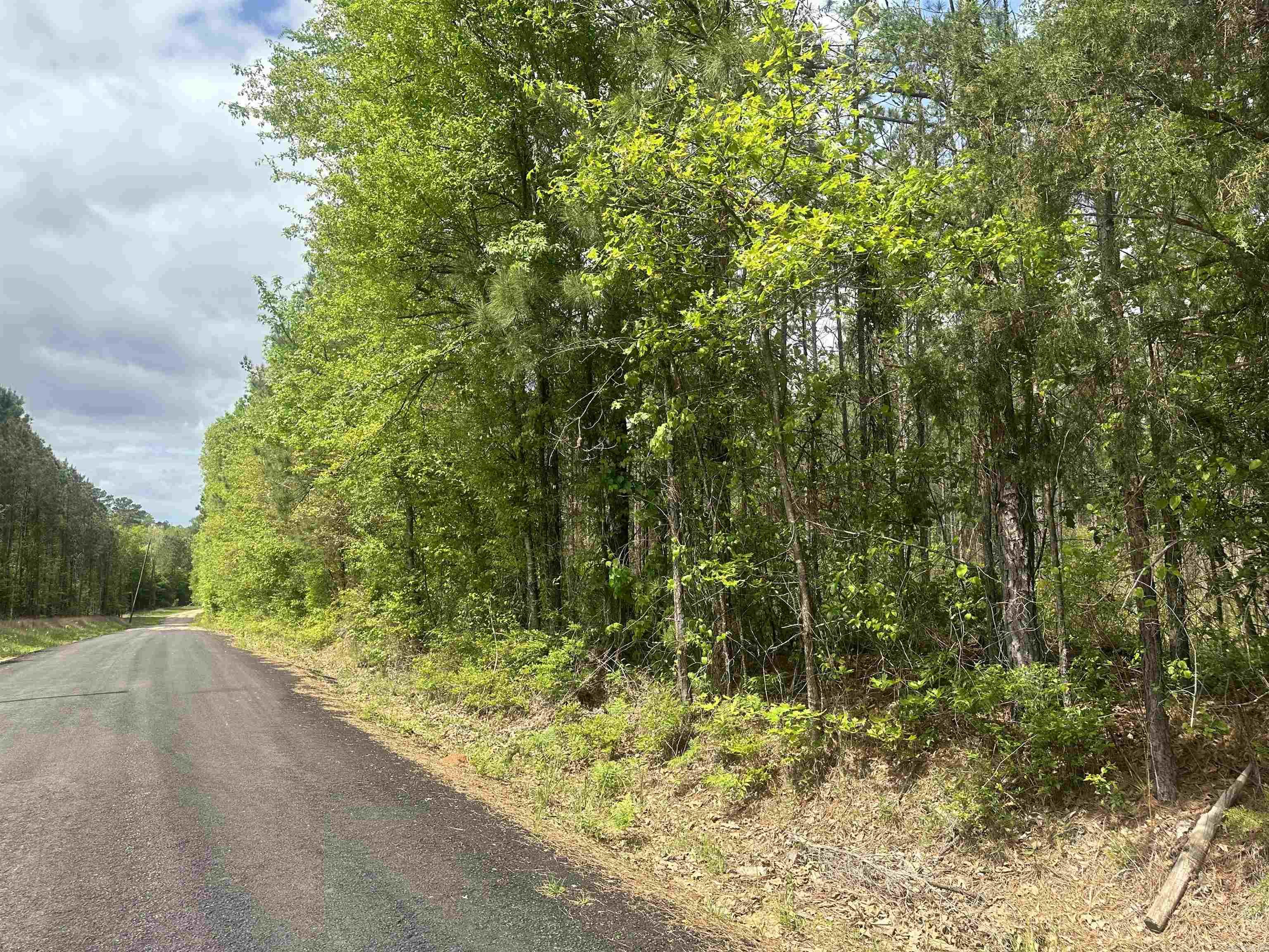 Lot 7  AR Hwy 7  Camden, AR