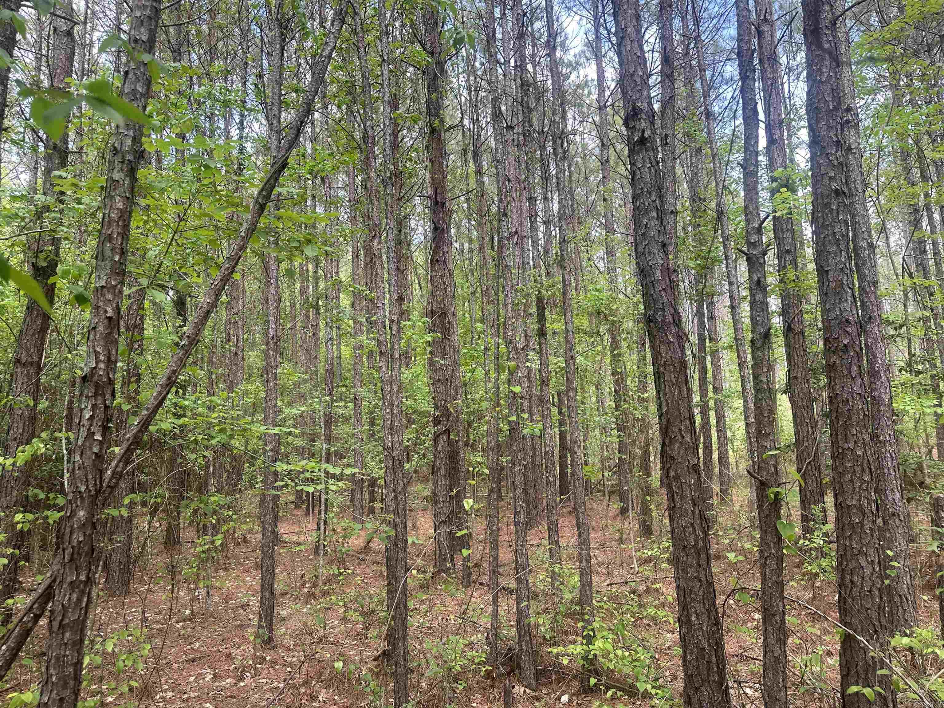 Lot 7  AR Hwy 7  Camden, AR