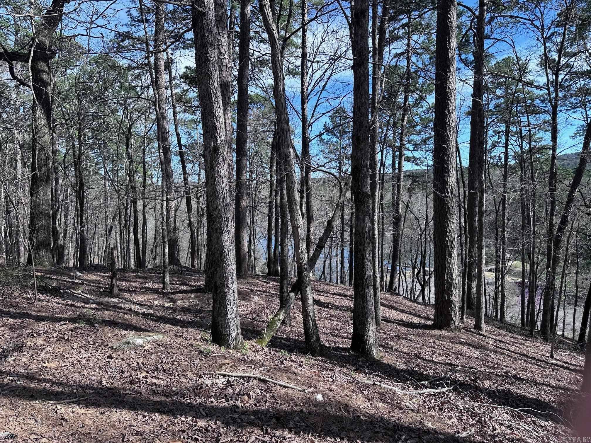 42  Badajoz Way  Hot Springs Village, AR