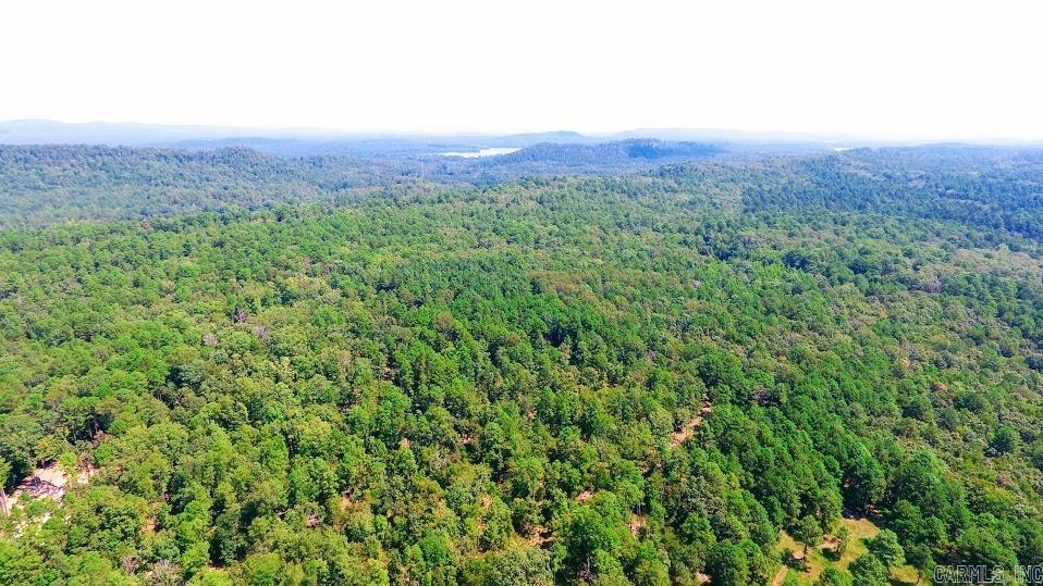 33 Collins Field  Mount Ida, AR