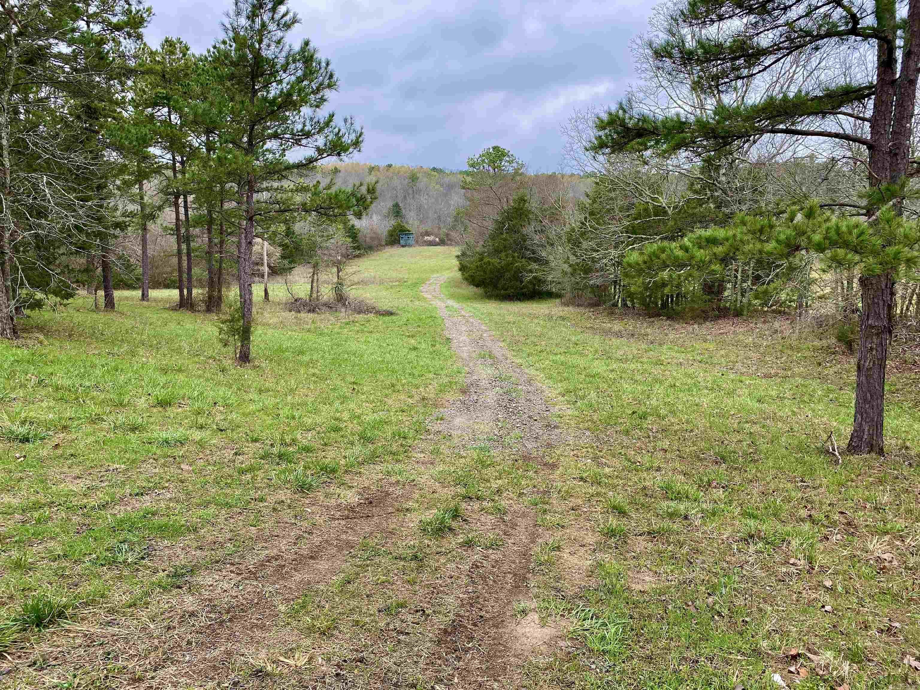 33  Collins Field Rd  Mount Ida, AR