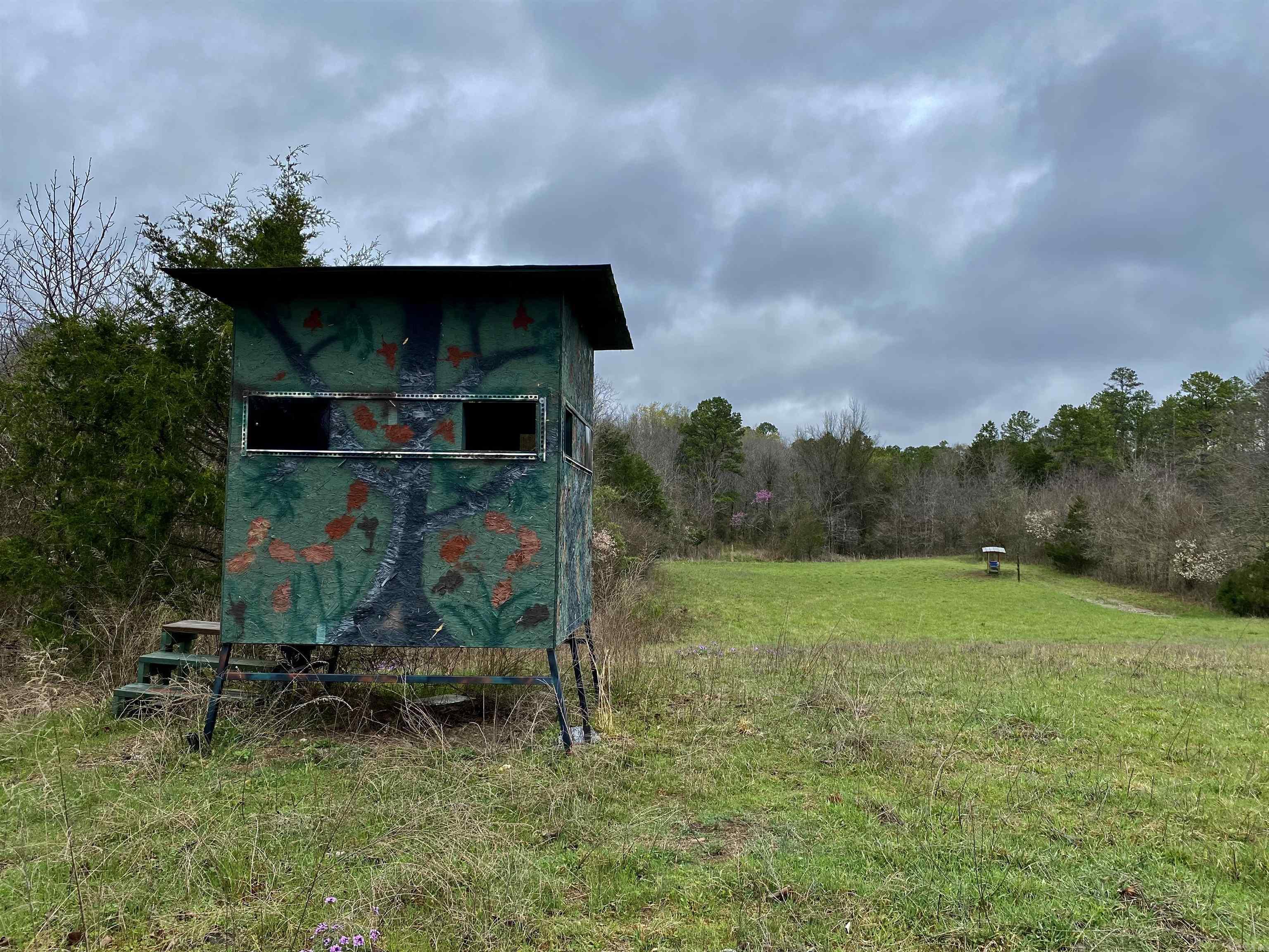33  Collins Field Rd  Mount Ida, AR