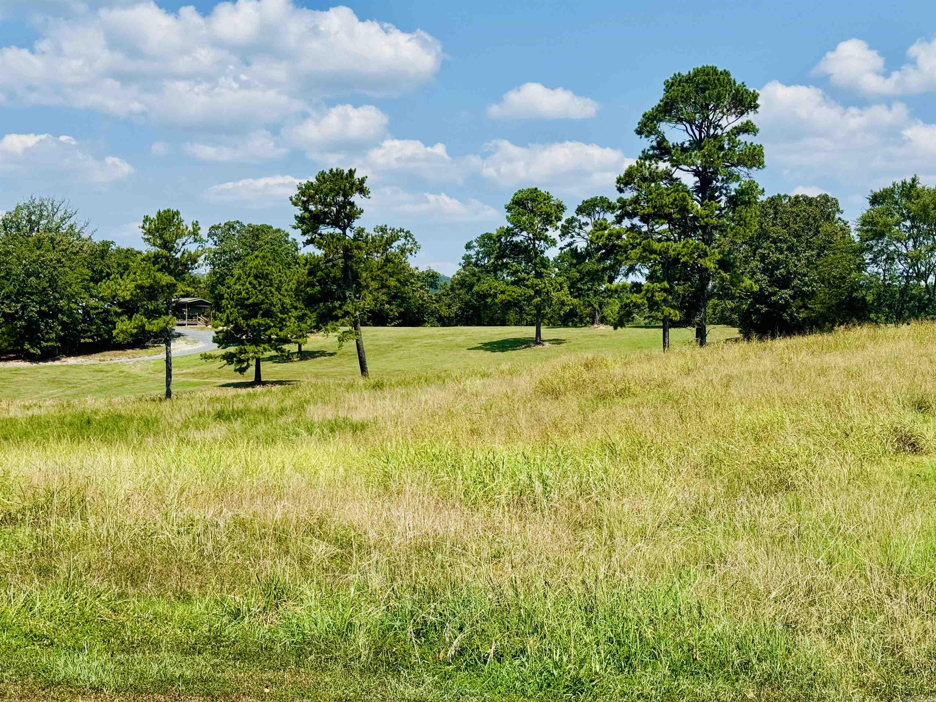 33 Collins Field  Mount Ida, AR
