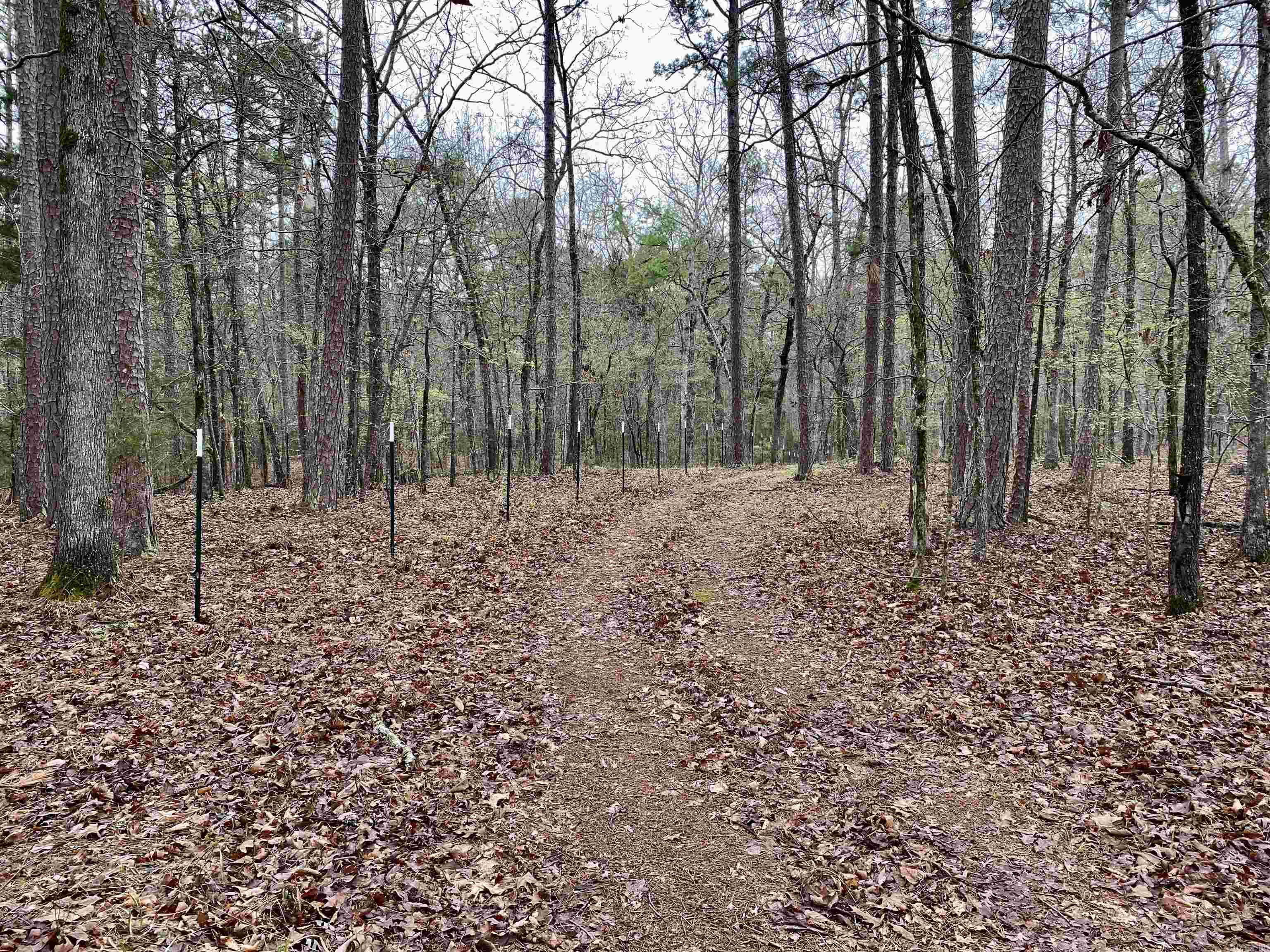 33  Collins Field Rd  Mount Ida, AR