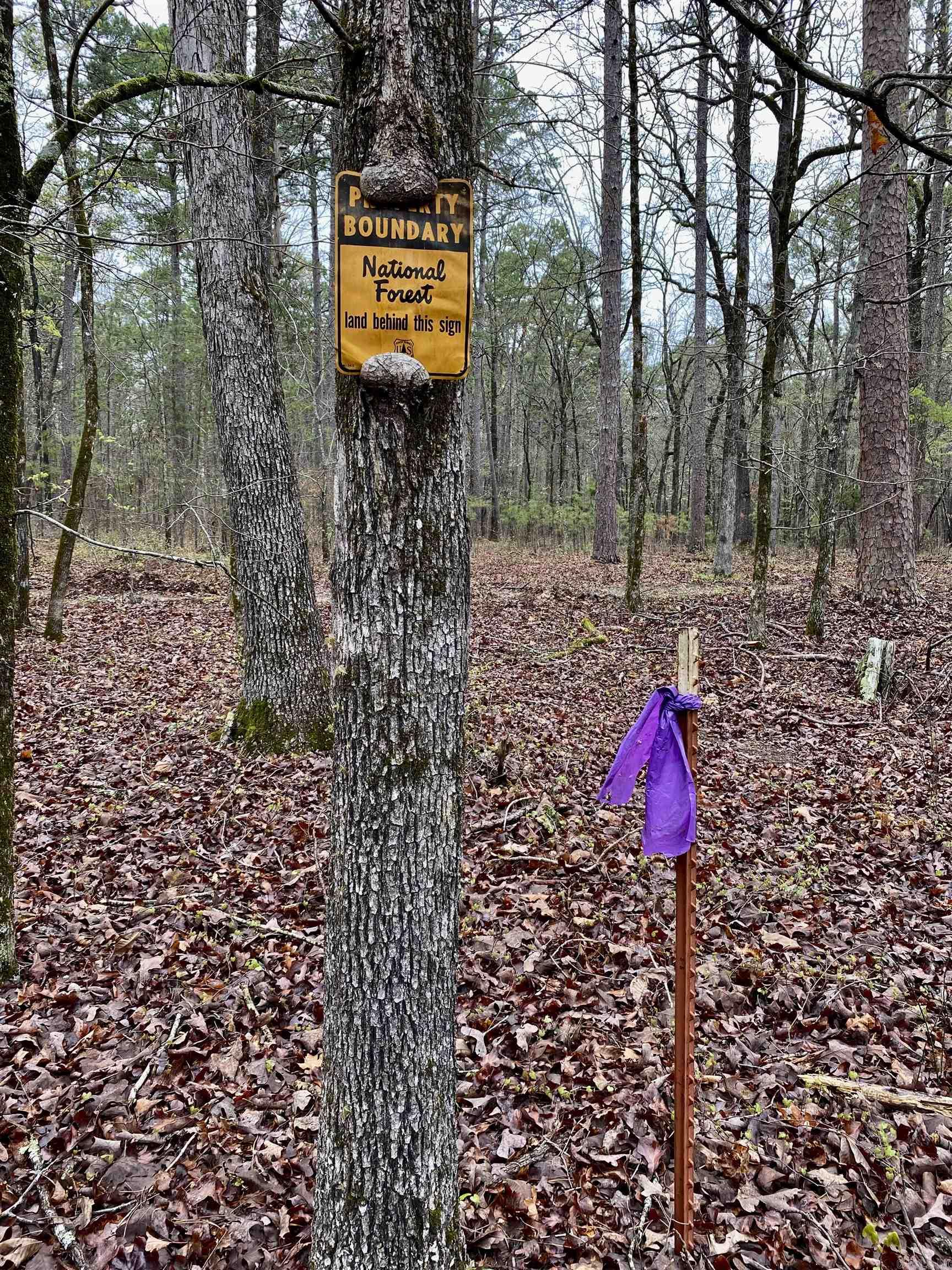 33  Collins Field Rd  Mount Ida, AR