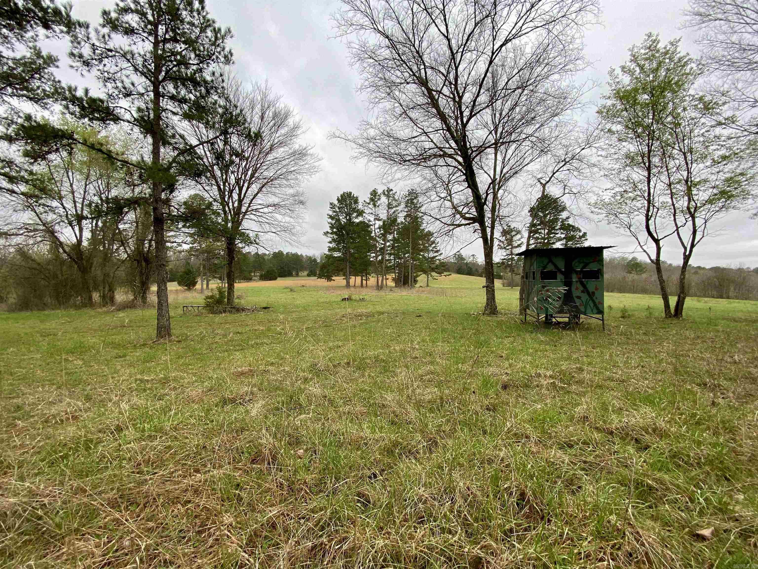 33  Collins Field Rd  Mount Ida, AR