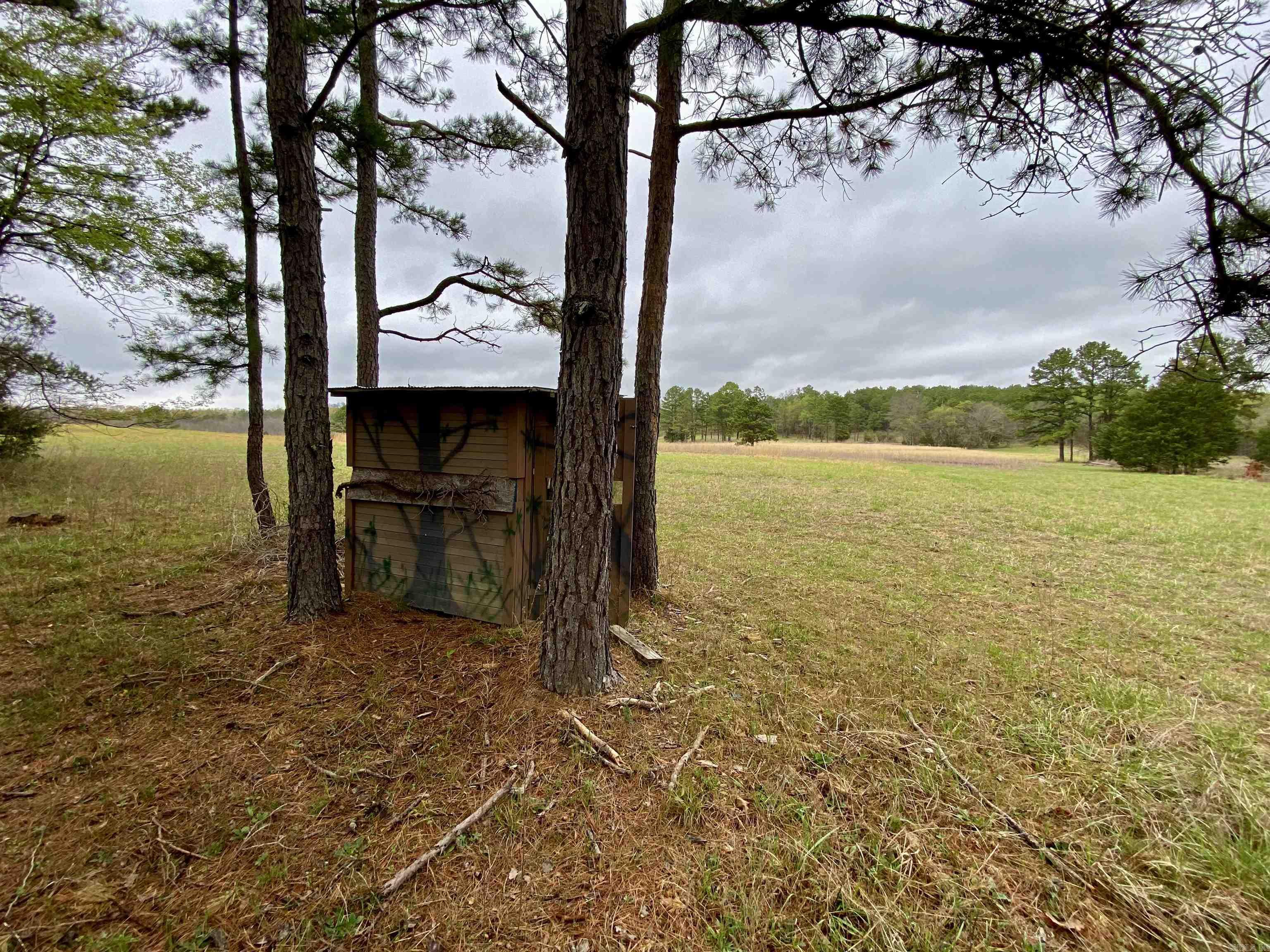 33  Collins Field Rd  Mount Ida, AR