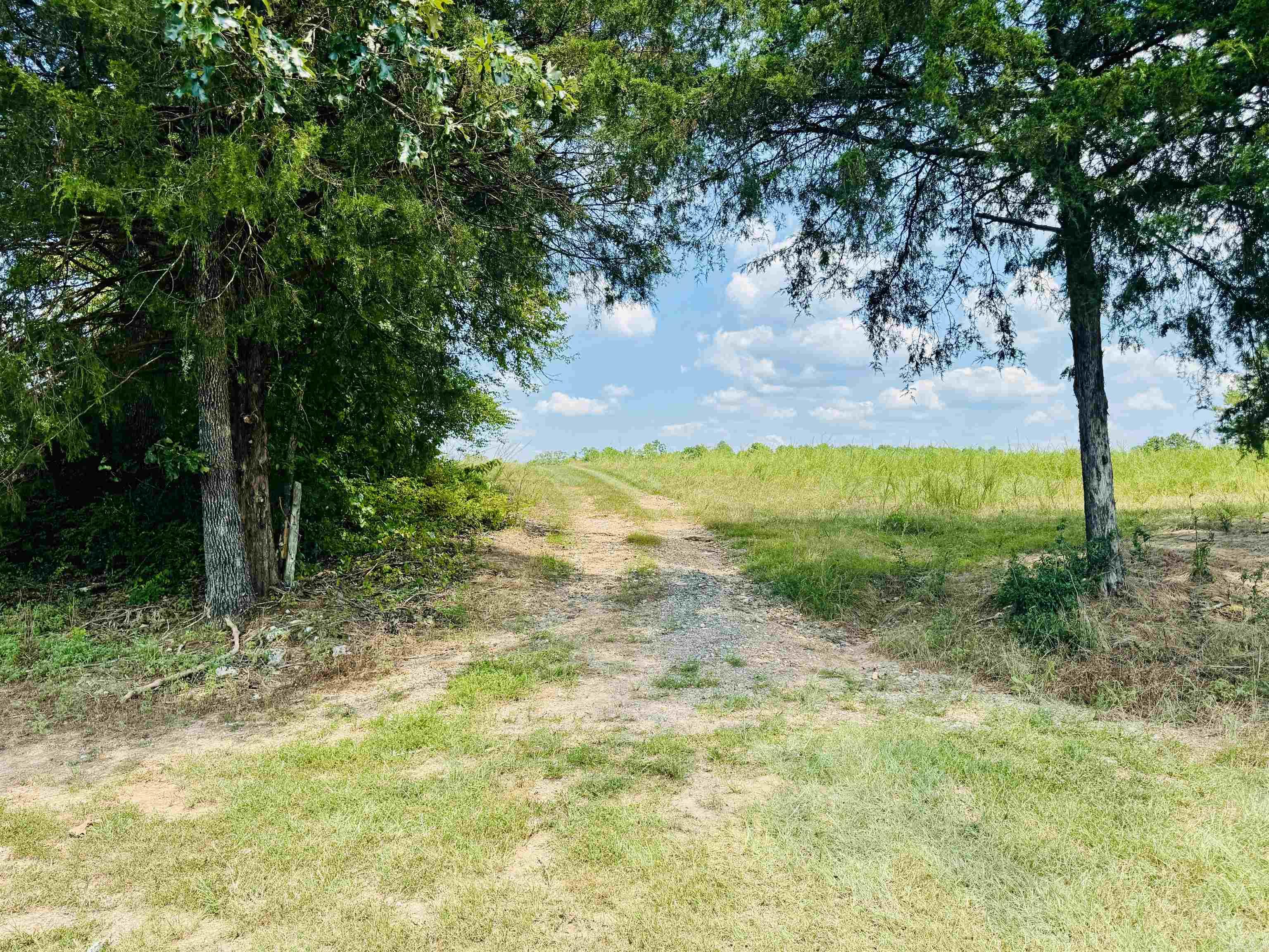 33 Collins Field  Mount Ida, AR