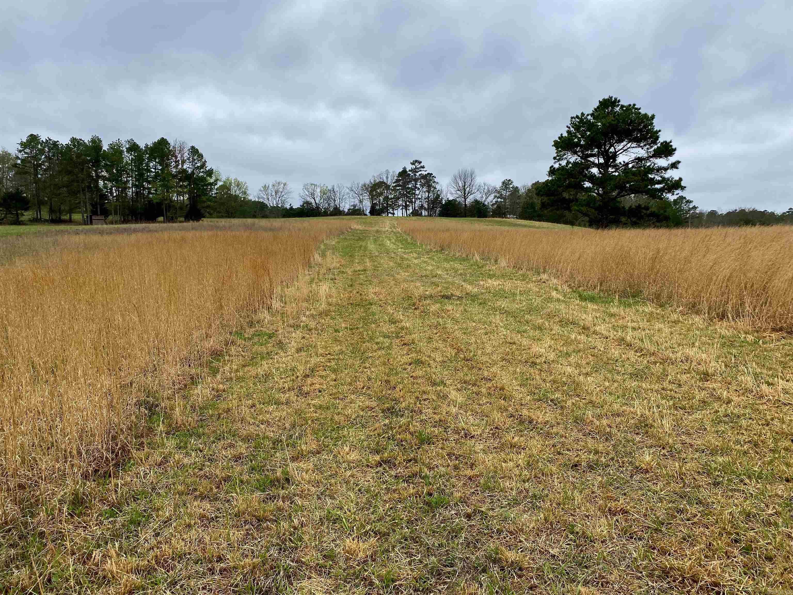 33  Collins Field Rd  Mount Ida, AR