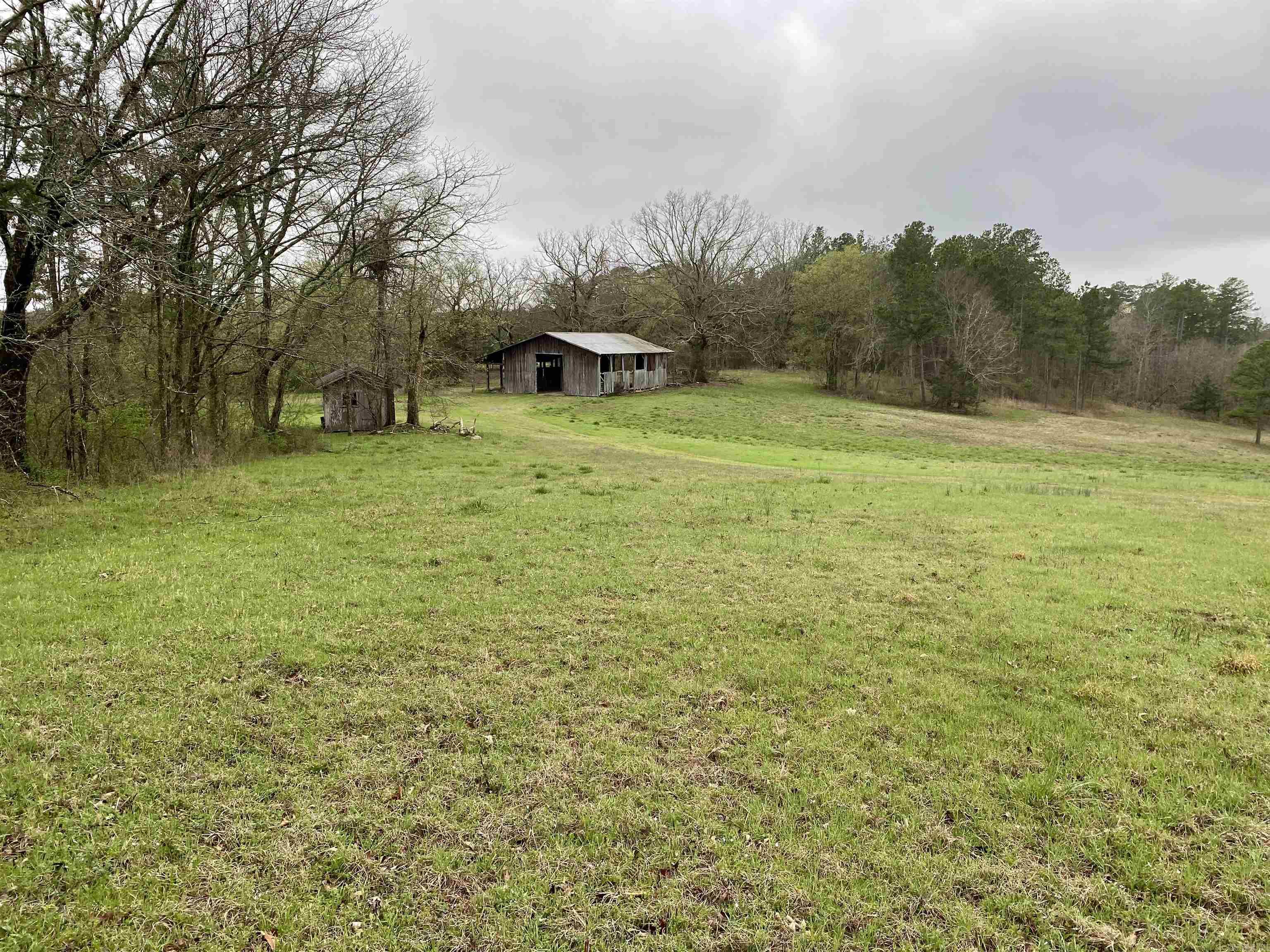 33  Collins Field Rd  Mount Ida, AR
