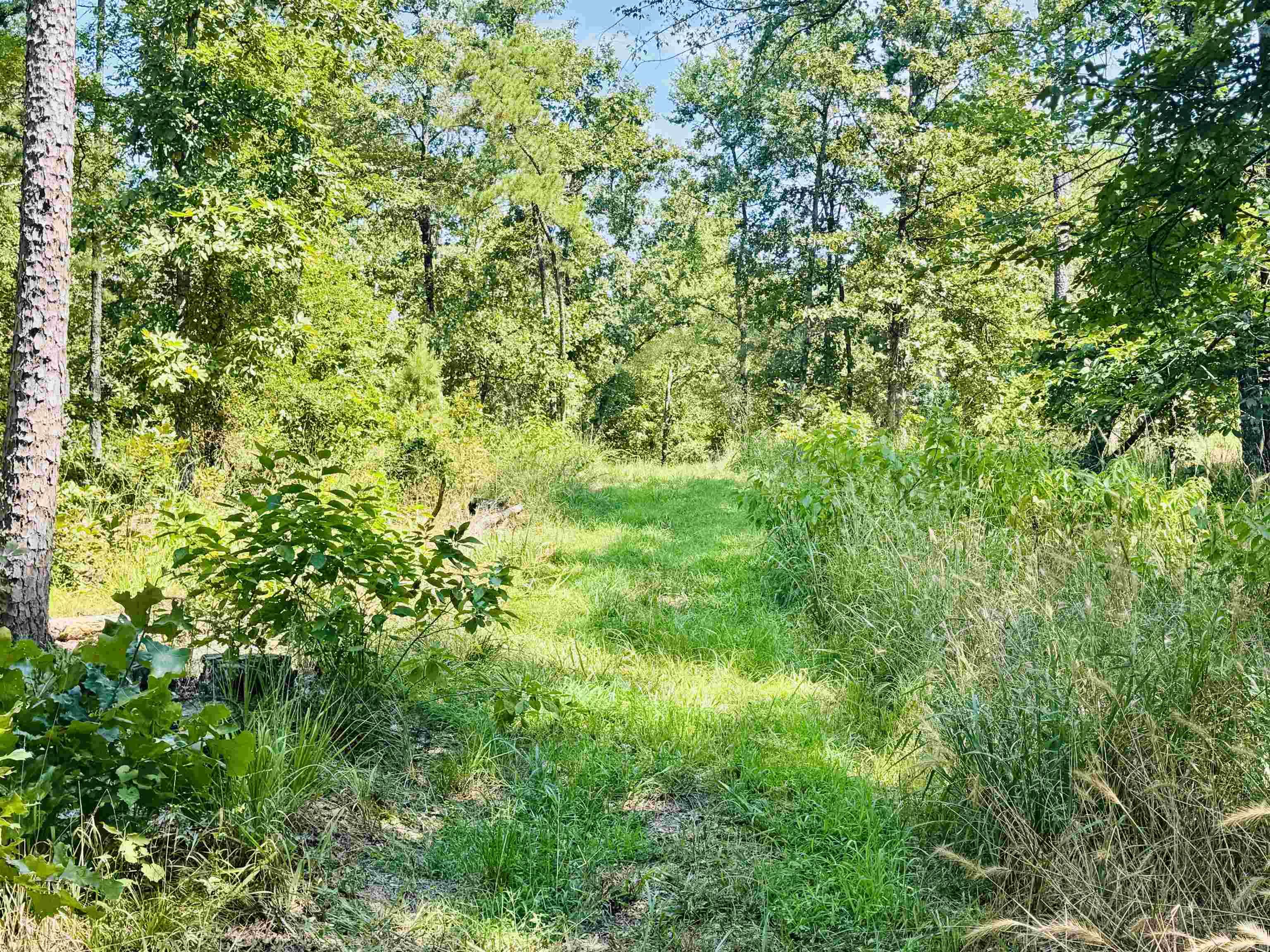 33 Collins Field  Mount Ida, AR