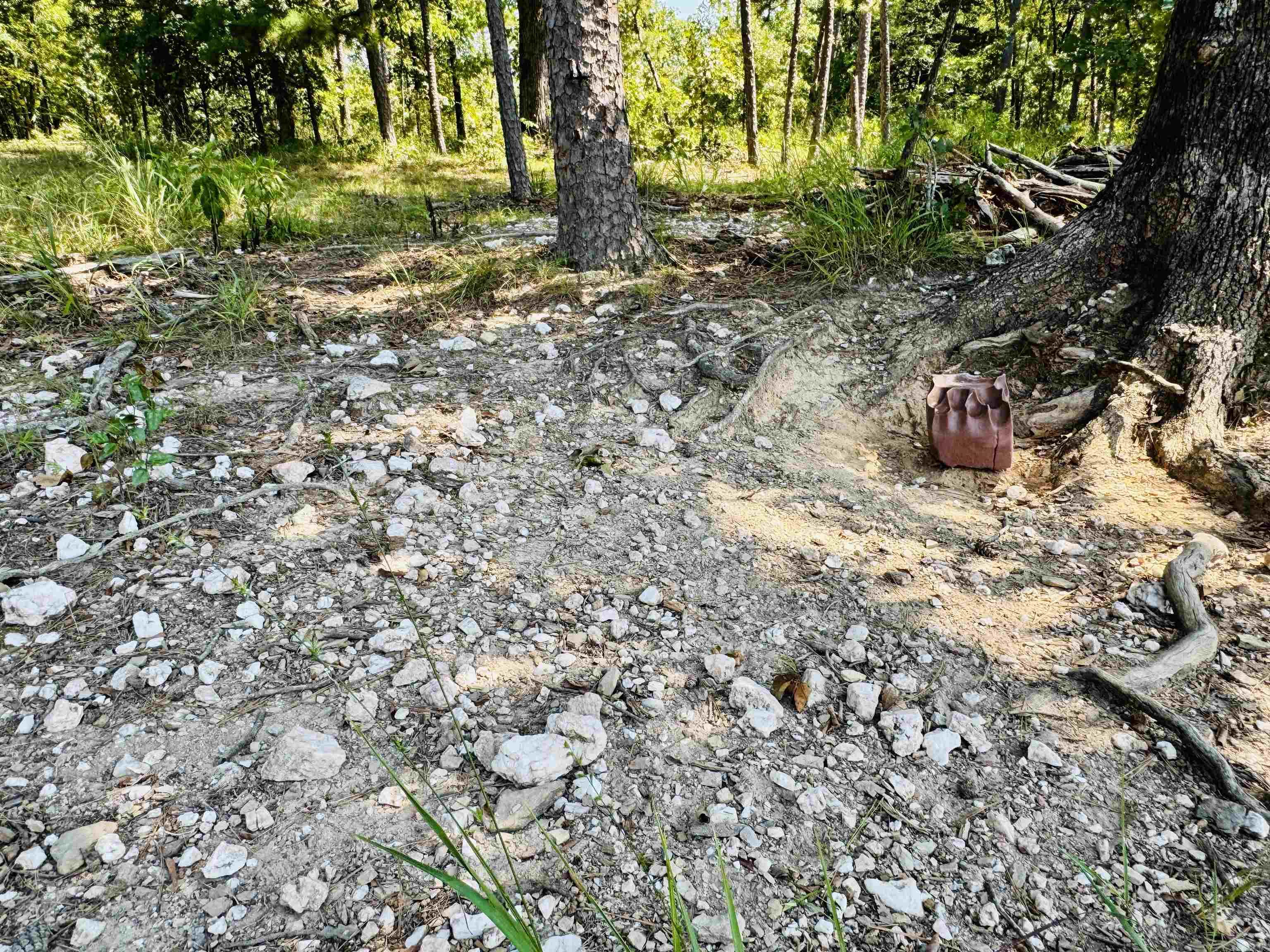 33 Collins Field  Mount Ida, AR