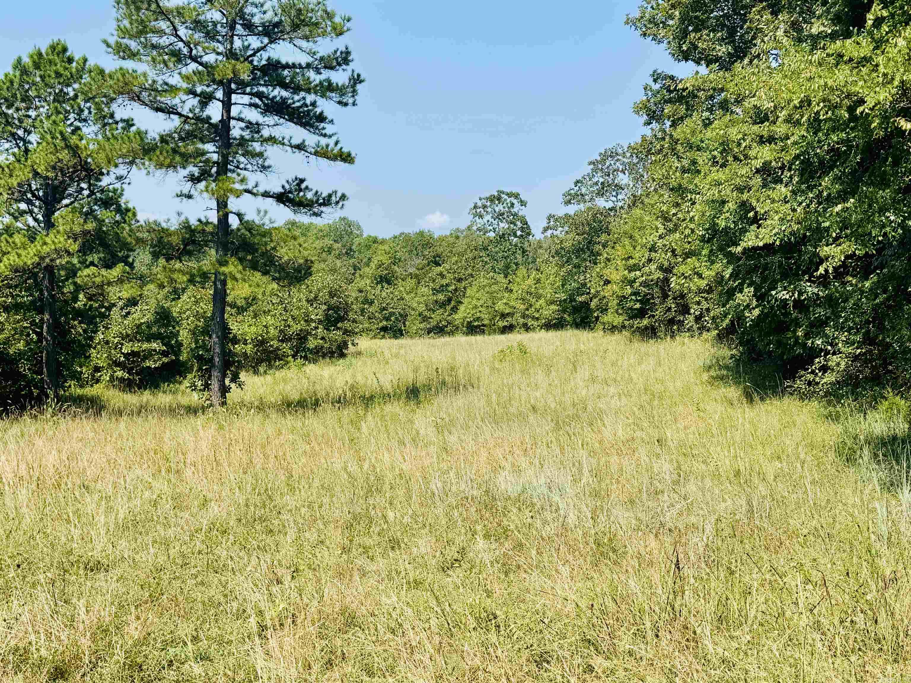 33 Collins Field  Mount Ida, AR