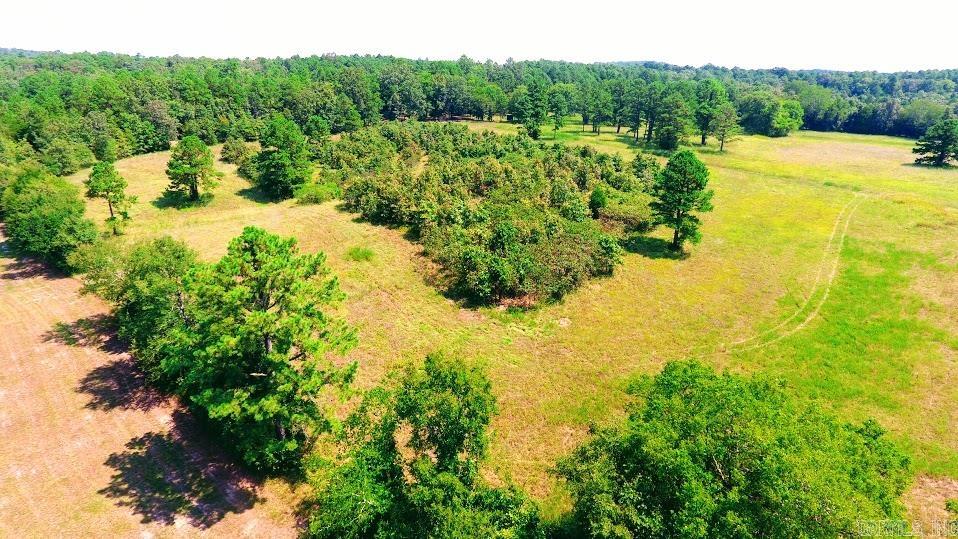 33 Collins Field  Mount Ida, AR