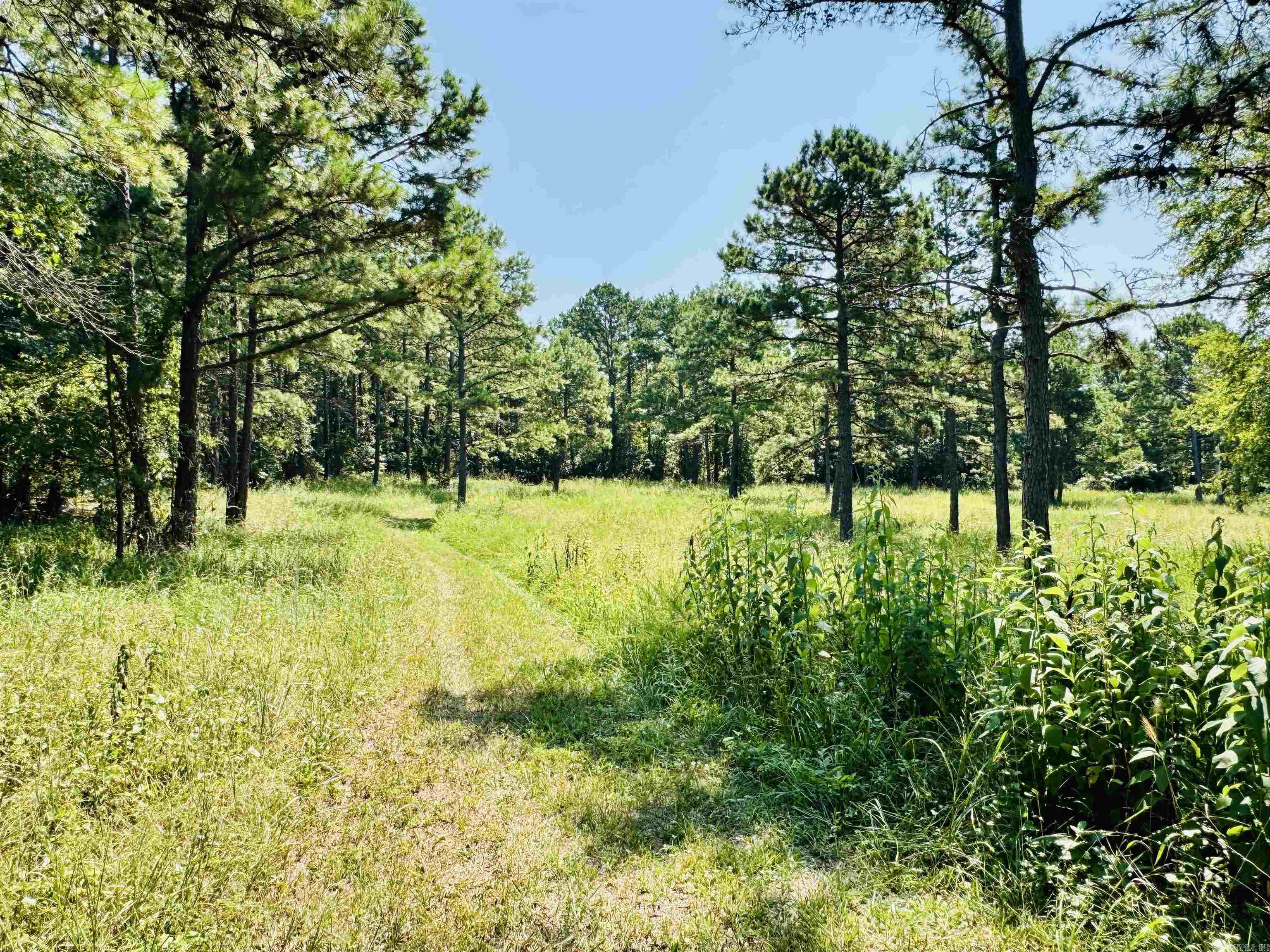 33 Collins Field  Mount Ida, AR