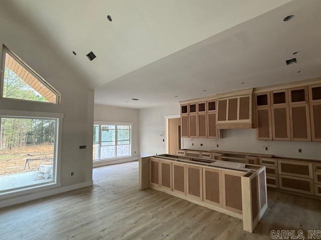 52  Ules Watson Drive  Greenbrier, AR