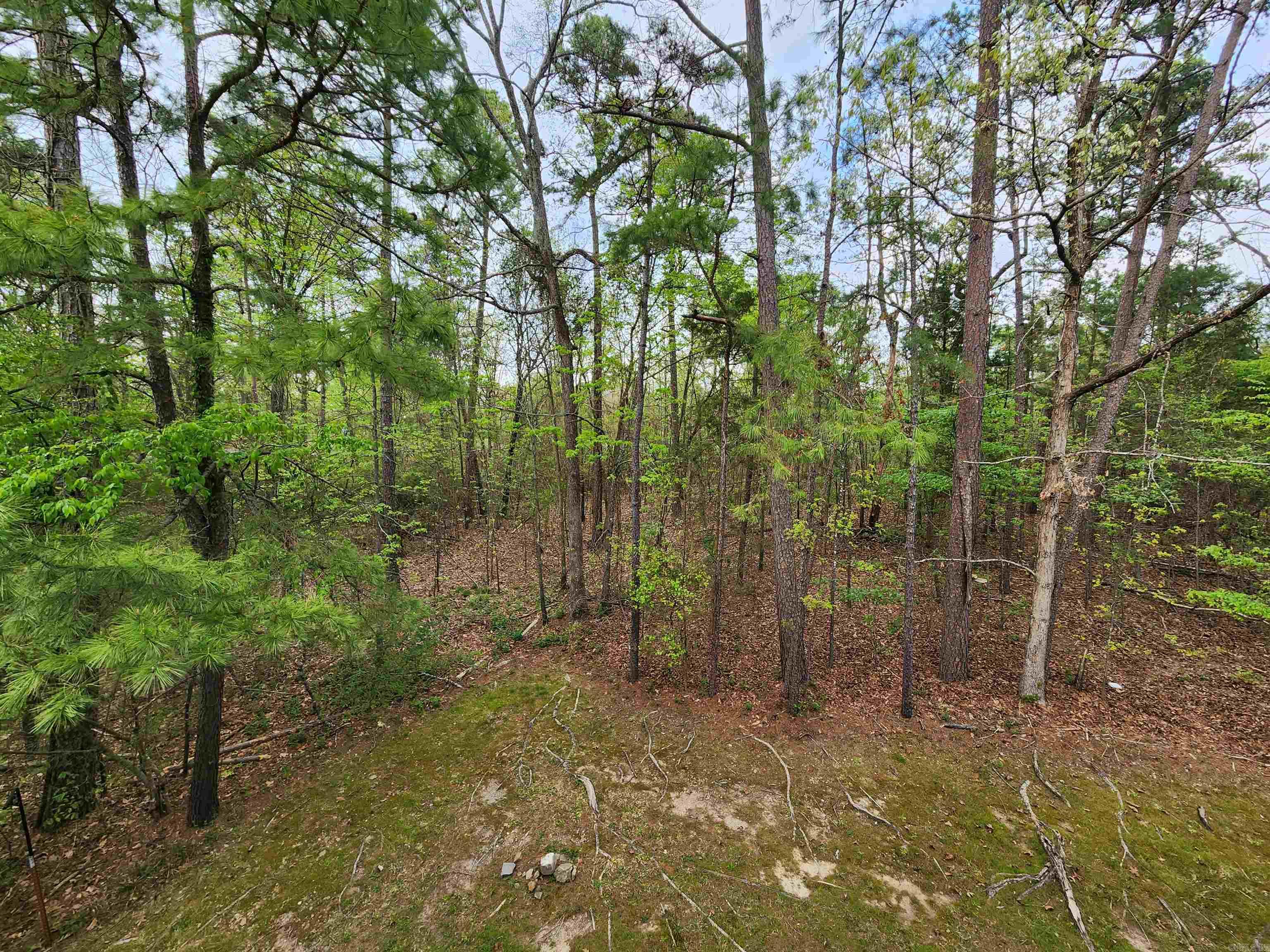 715  Weston  Hot Springs, AR