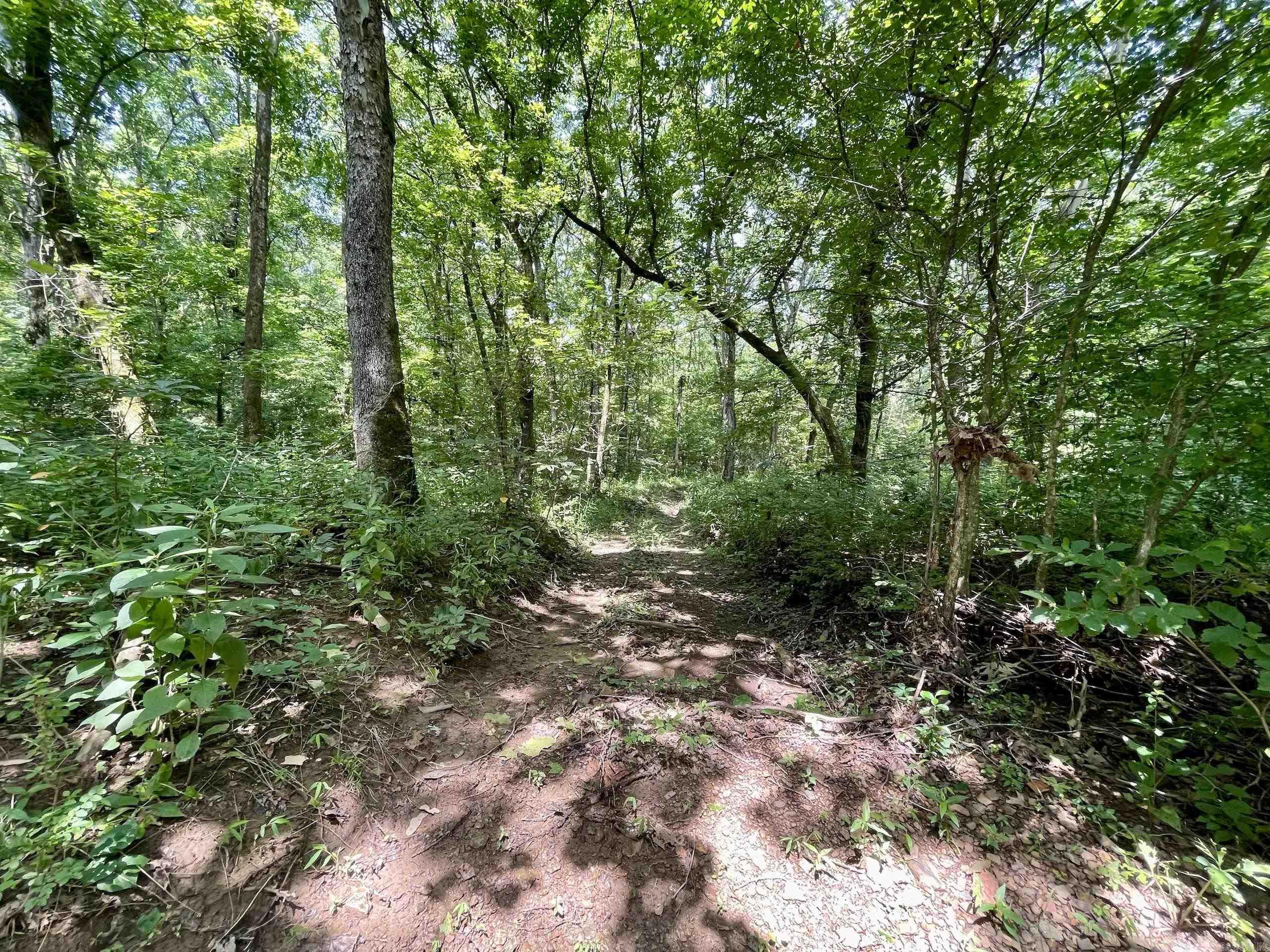 000  Resort  Higden, AR