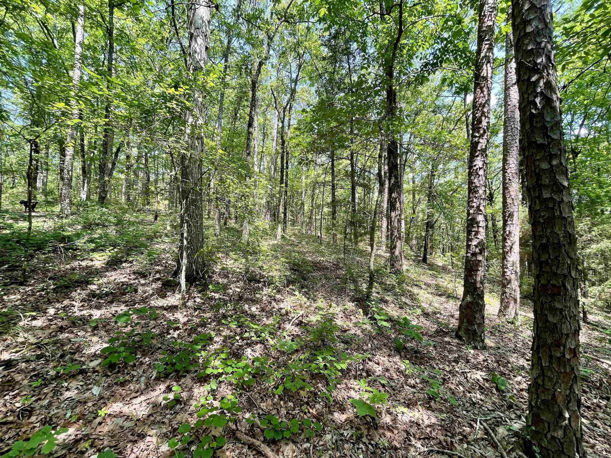 000  Resort  Higden, AR