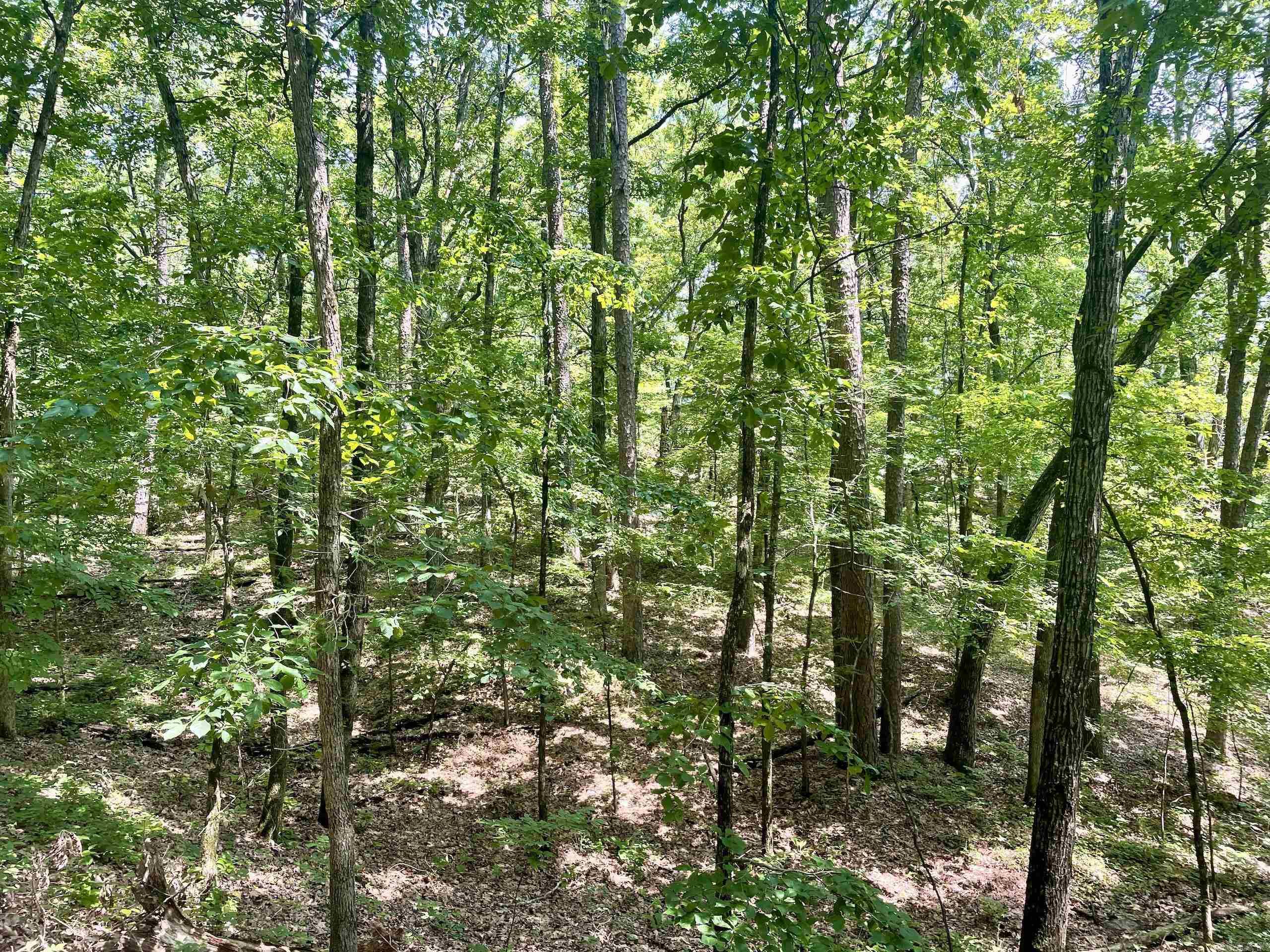 000  Resort  Higden, AR