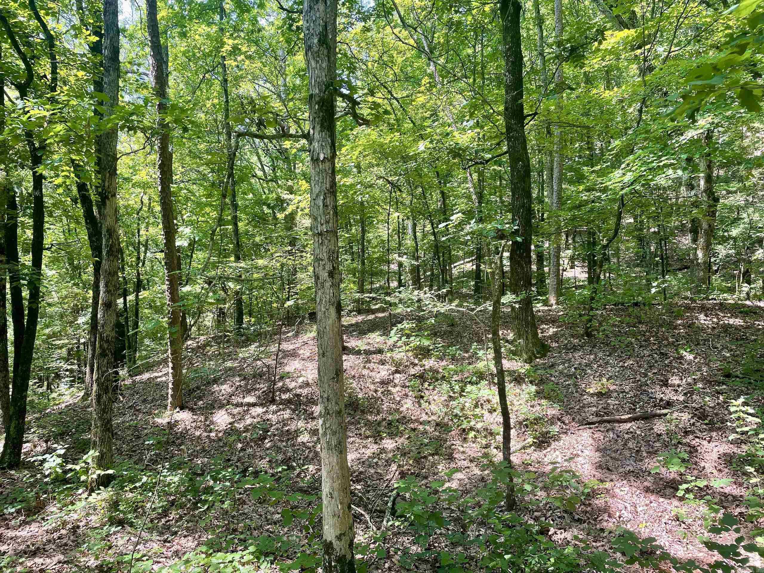000  Resort  Higden, AR
