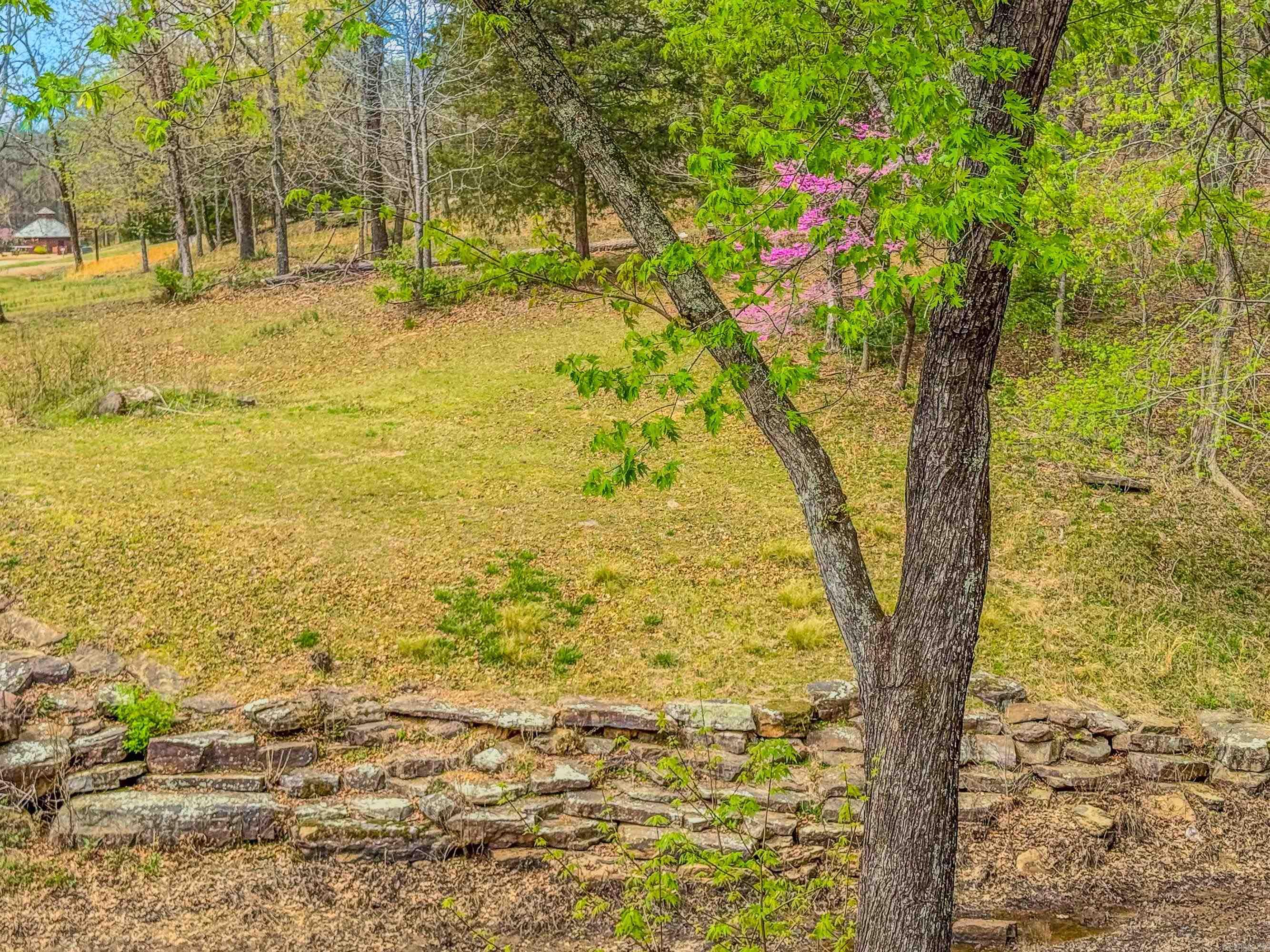 295  Primrose Creek Drive  Heber Springs, AR