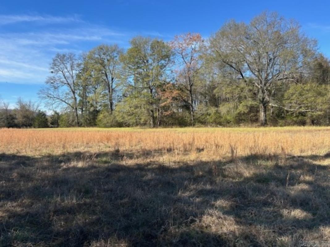 450  Polk Road 93  Mena, AR