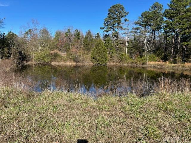 450  Polk Road 93  Mena, AR