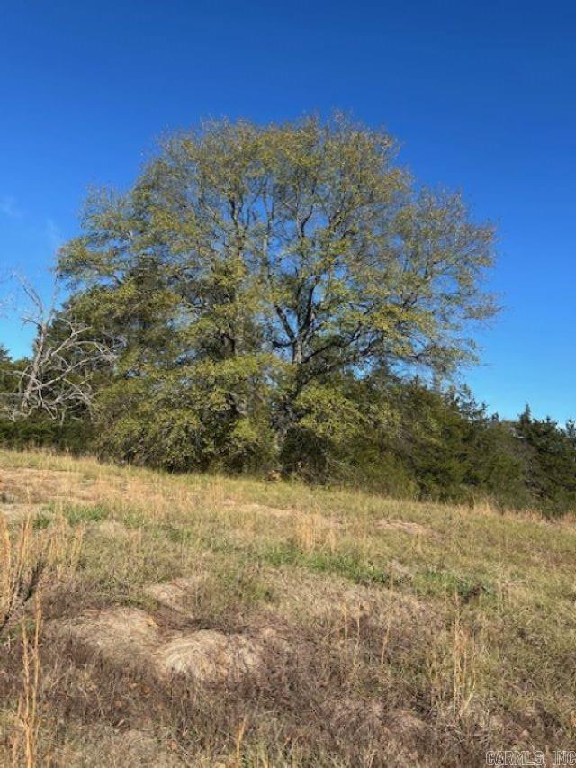 450  Polk Road 93  Mena, AR