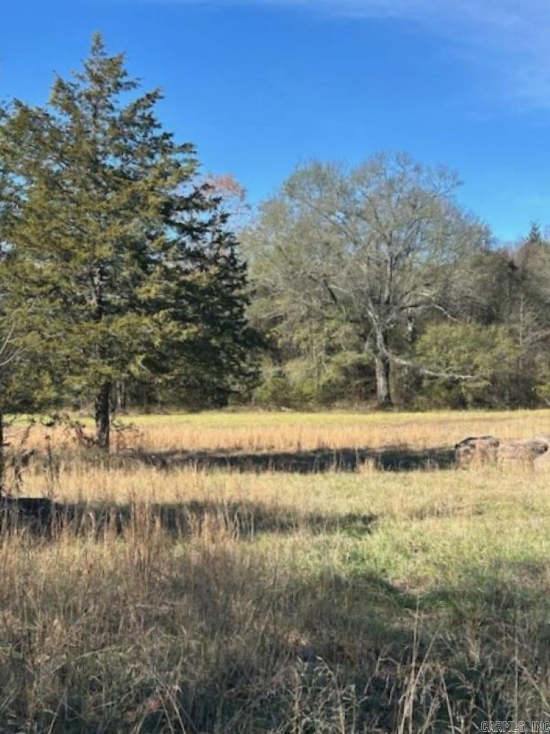 450  Polk Road 93  Mena, AR