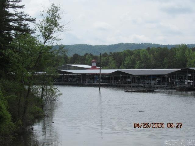 424  Highway 65 Business  Clinton, AR