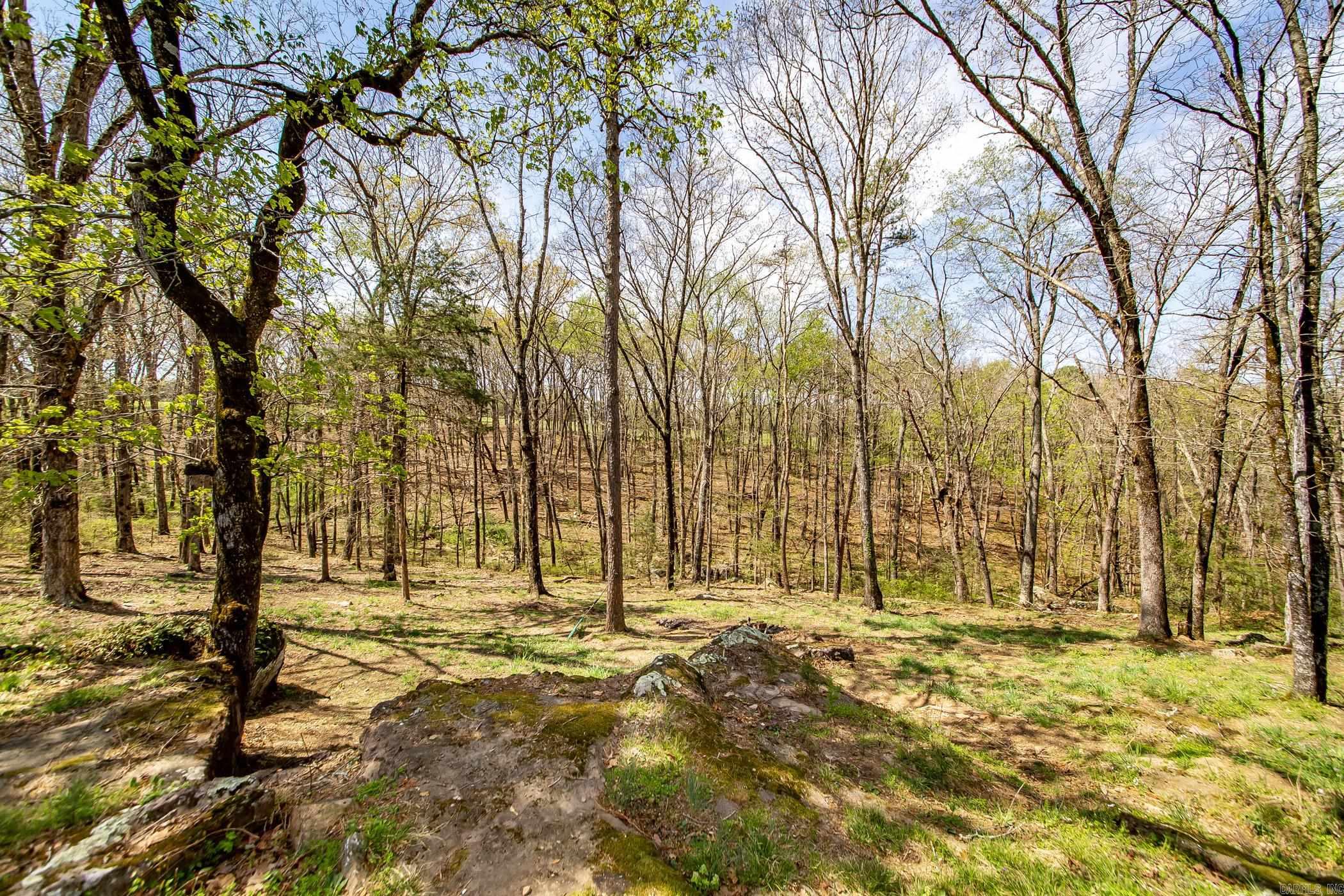 6575  Banner Mountain  Shirley, AR