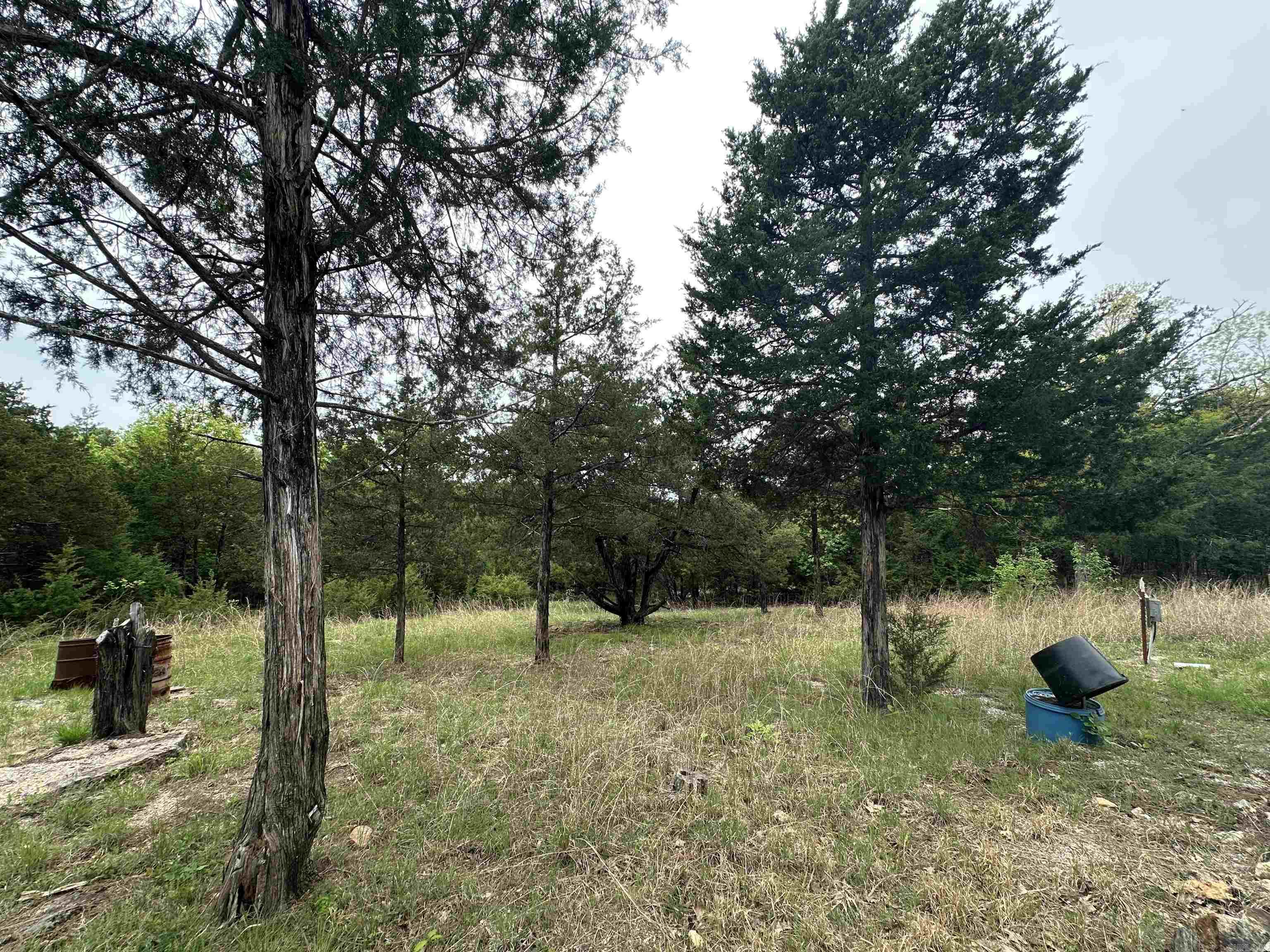 446  MC 124  Oakland, AR