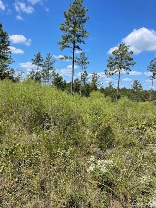 Lot 1BR  Hwy 298  Benton, AR