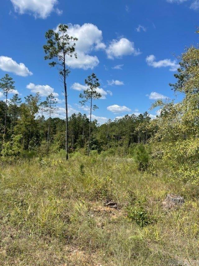 Lot 1AR  Hwy 298  Benton, AR