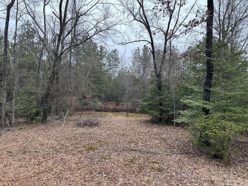 29-13-18  Adams Trail  Camden, AR