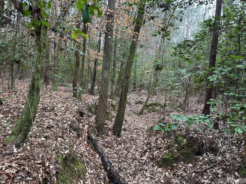 29-13-18  Adams Trail  Camden, AR