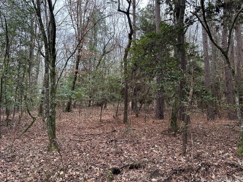 29-13-18  Adams Trail  Camden, AR