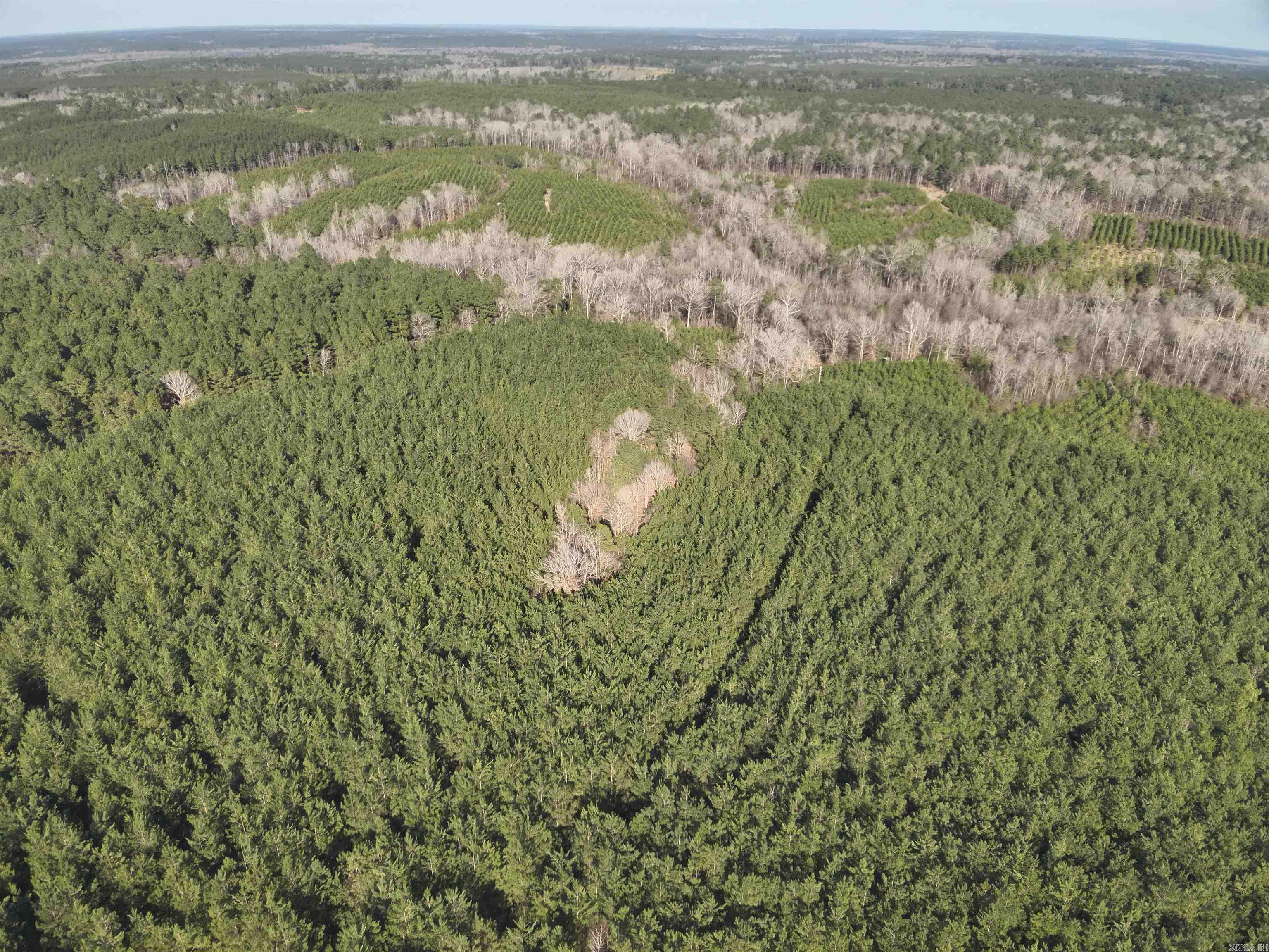 17-15-19  Frog Shack Rd  Stephens, AR