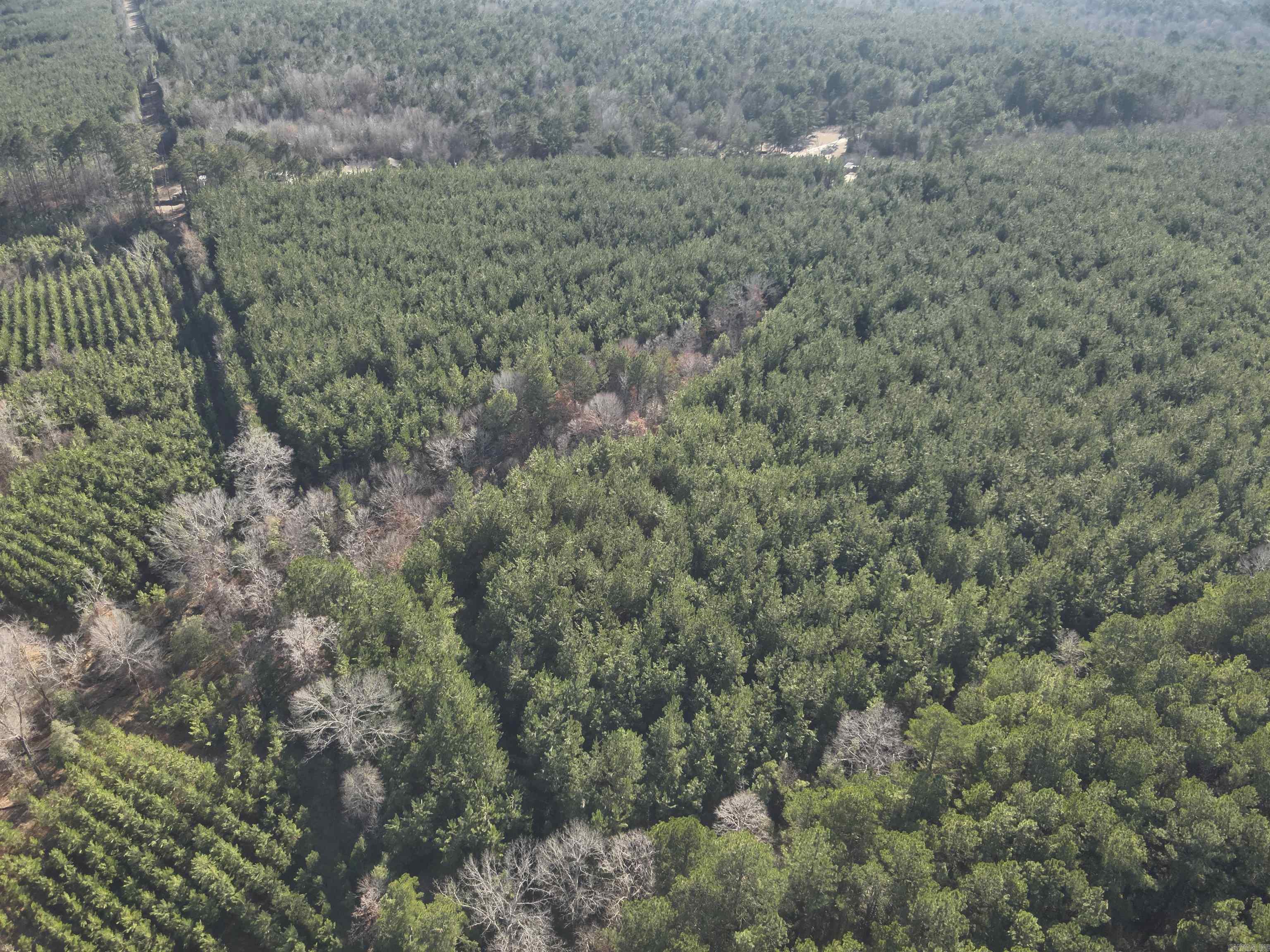 17-15-19  Frog Shack Rd  Stephens, AR