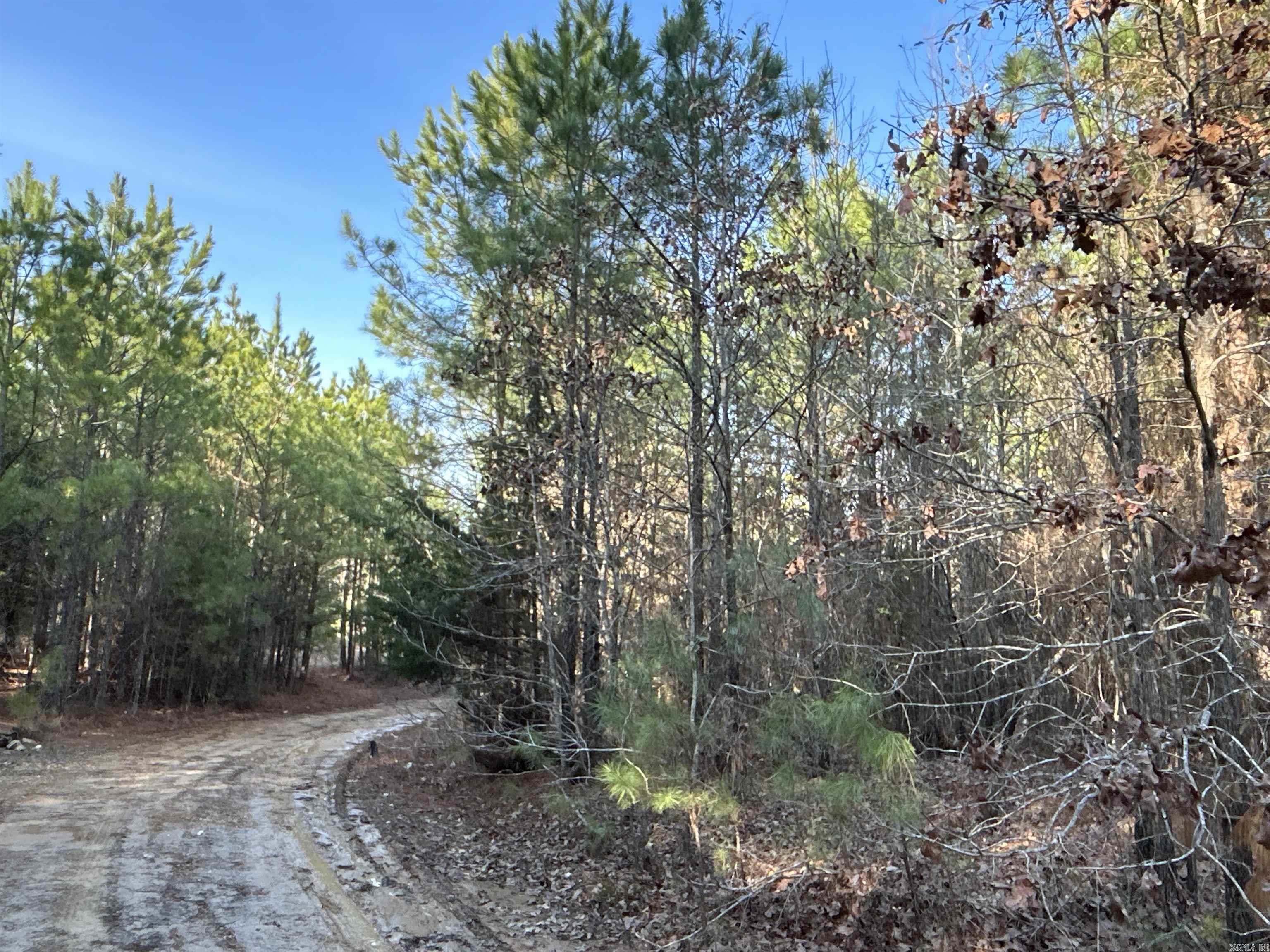17-15-19  Frog Shack Rd  Stephens, AR