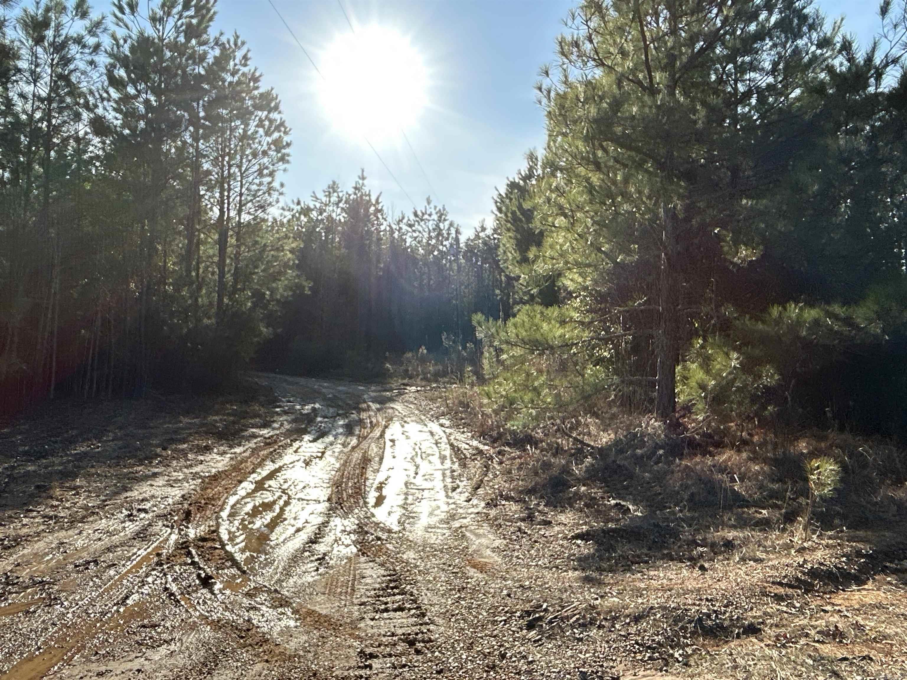 17-15-19  Frog Shack Rd  Stephens, AR