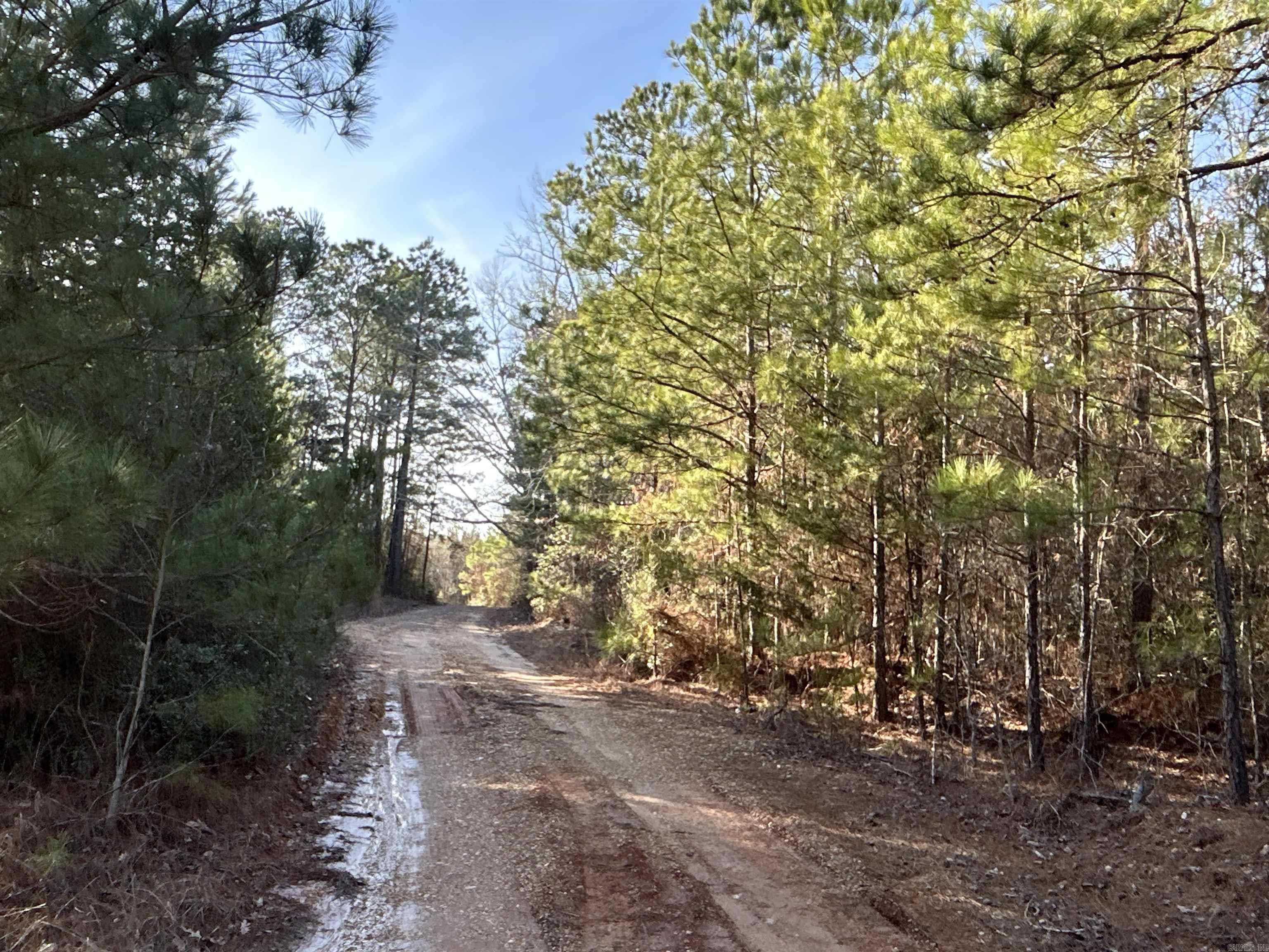 17-15-19  Frog Shack Rd  Stephens, AR