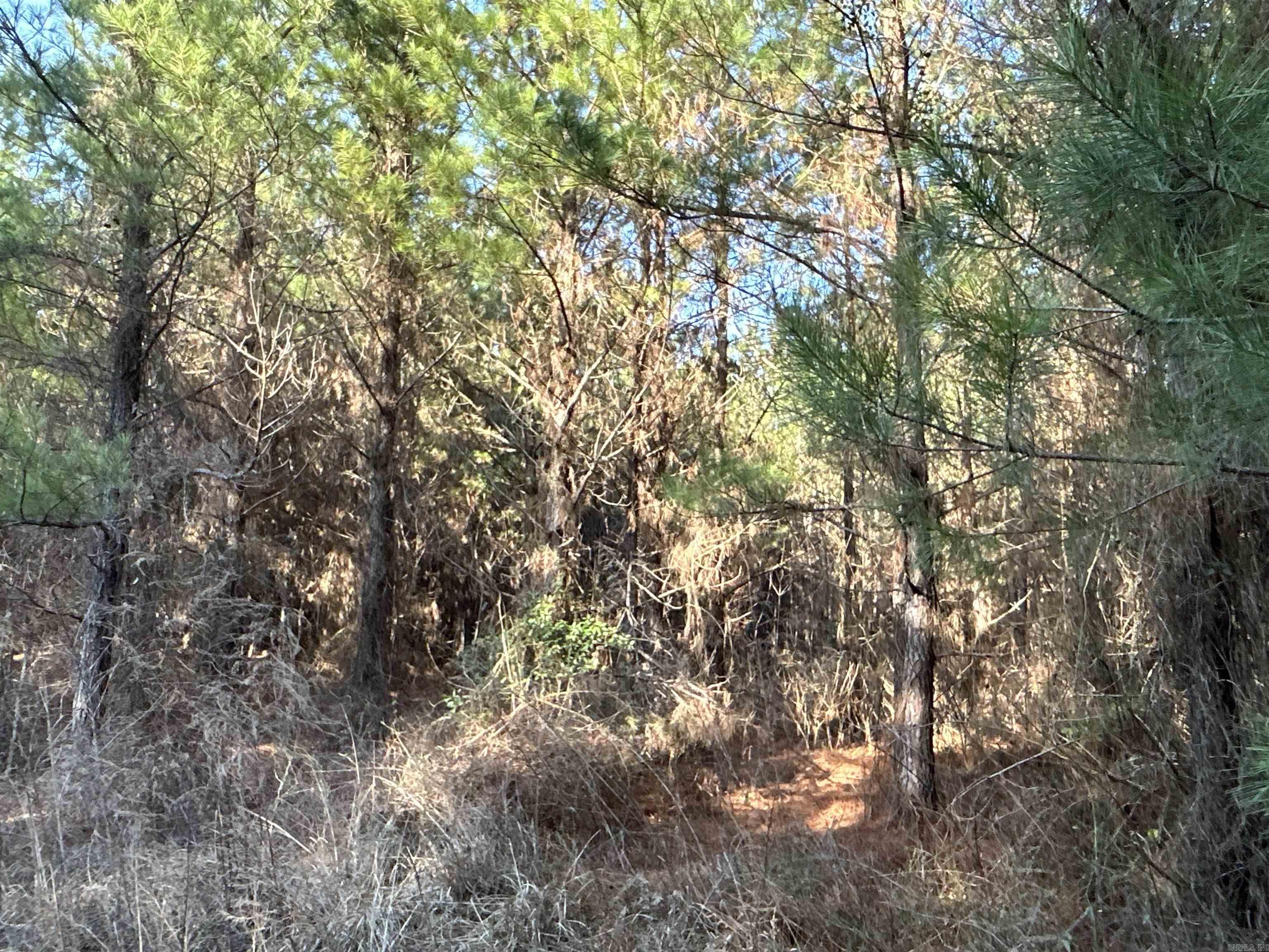 17-15-19  Frog Shack Rd  Stephens, AR