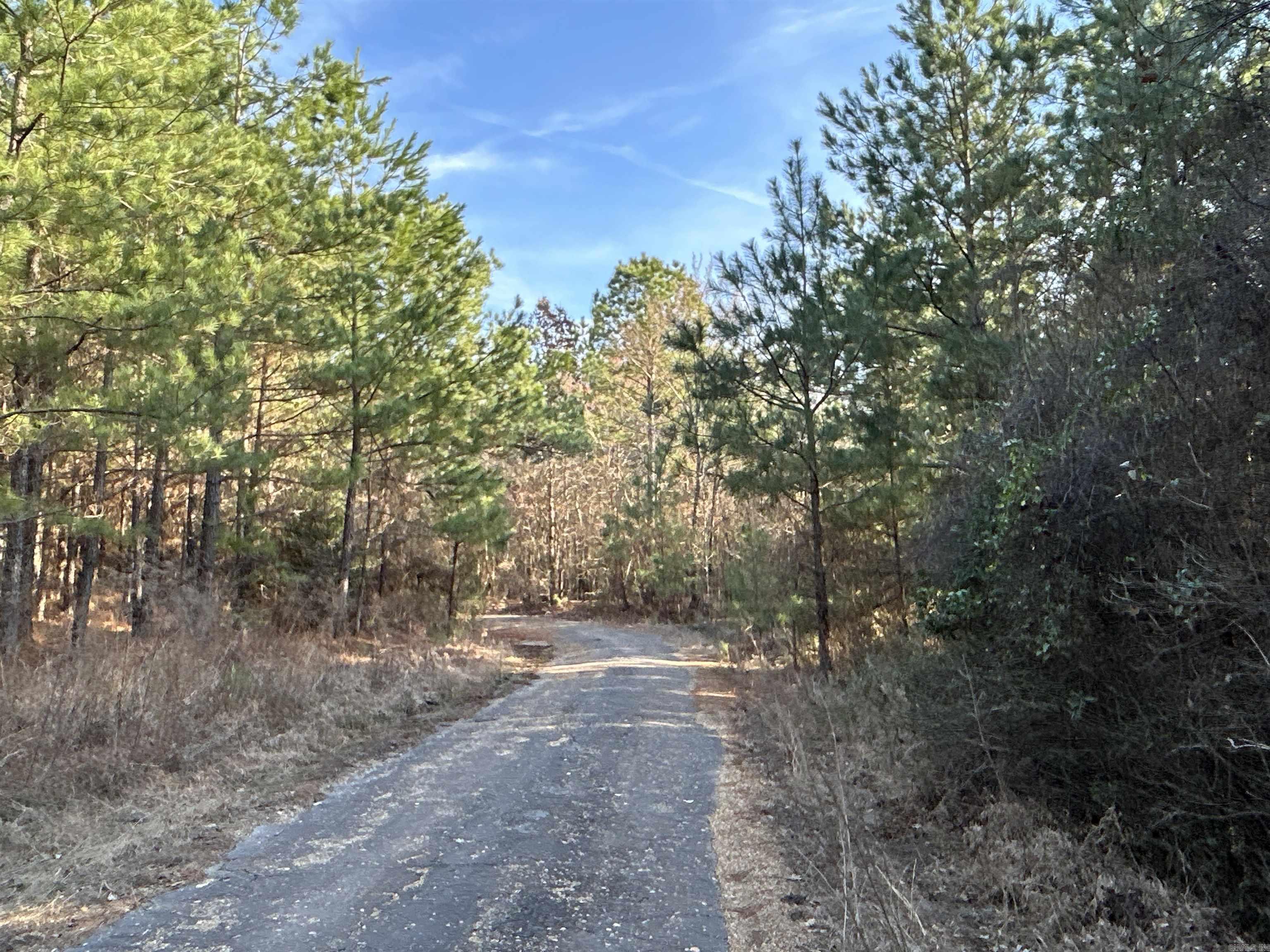 17-15-19  Frog Shack Rd  Stephens, AR