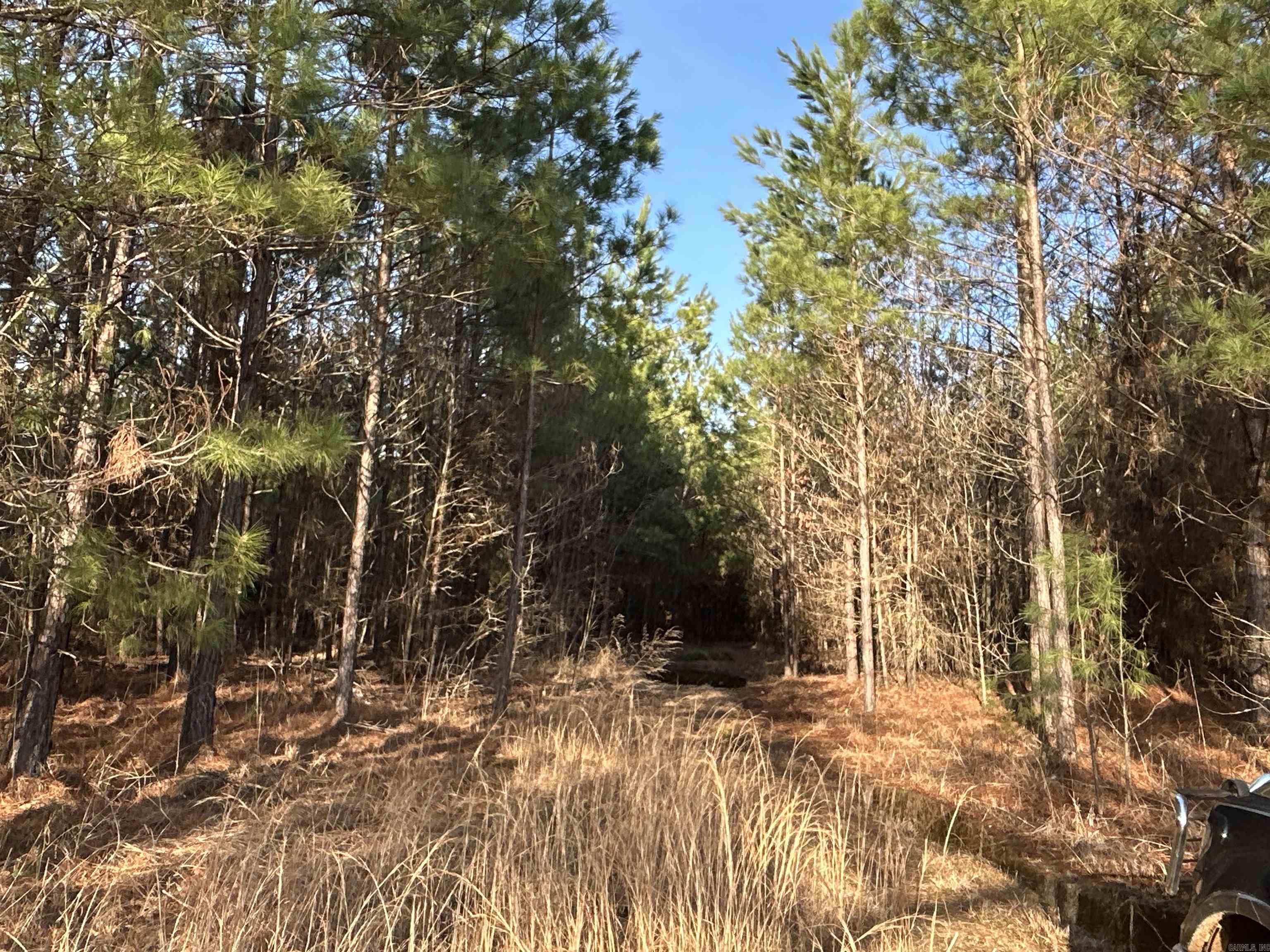 17-15-19  Frog Shack Rd  Stephens, AR